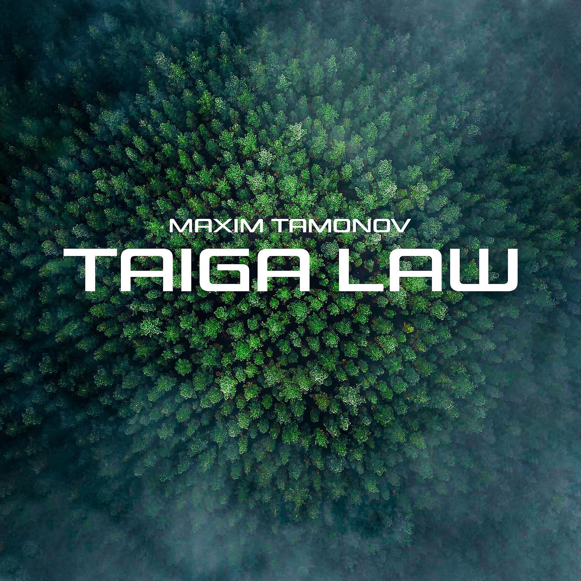 Постер альбома Taiga Law