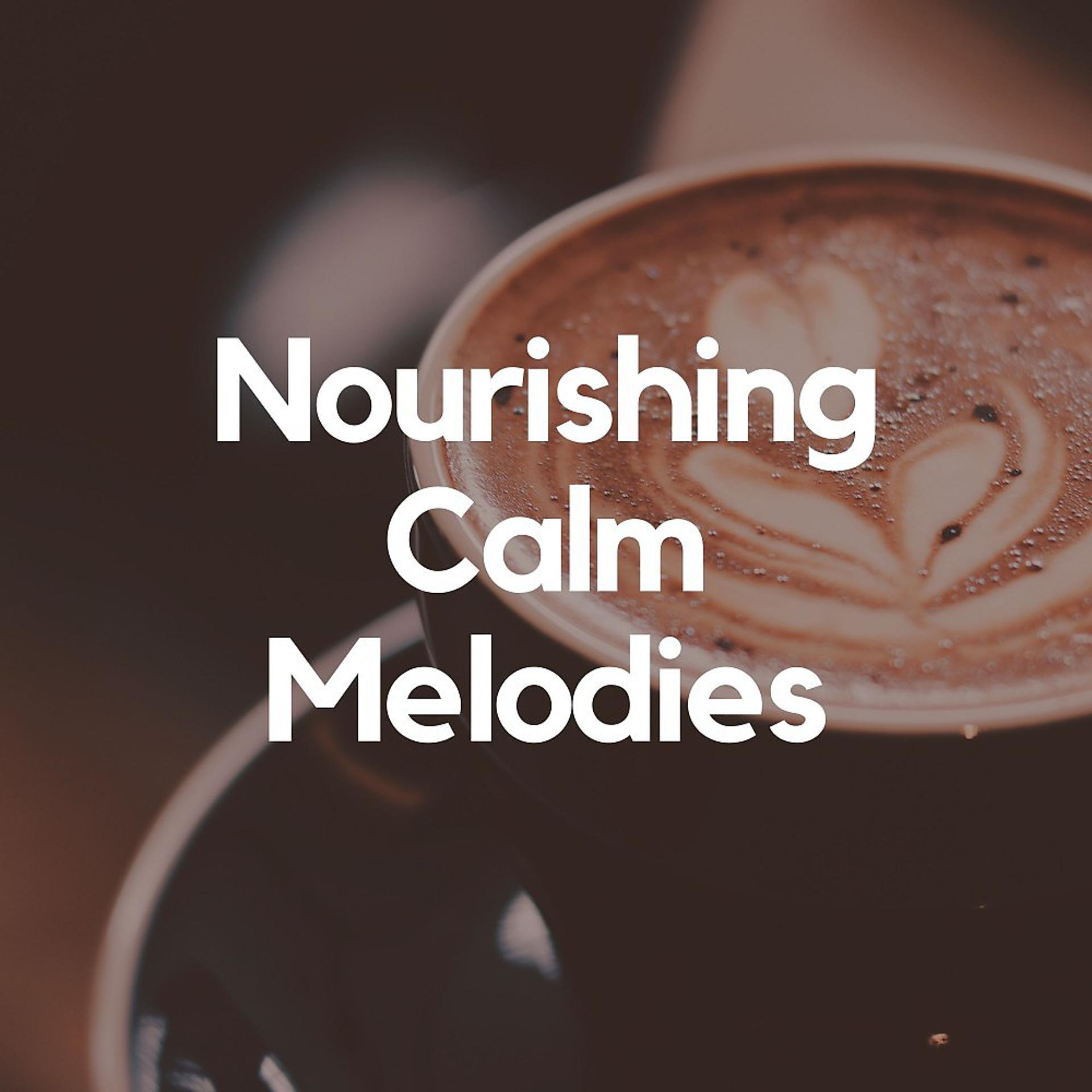 Постер альбома Nourishing Calm Melodies