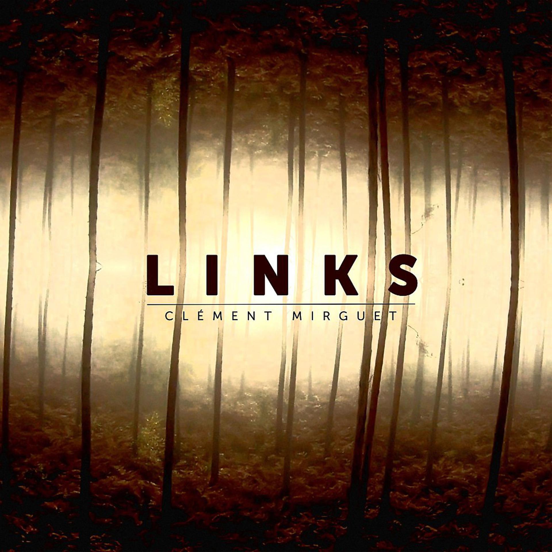 Постер альбома Links