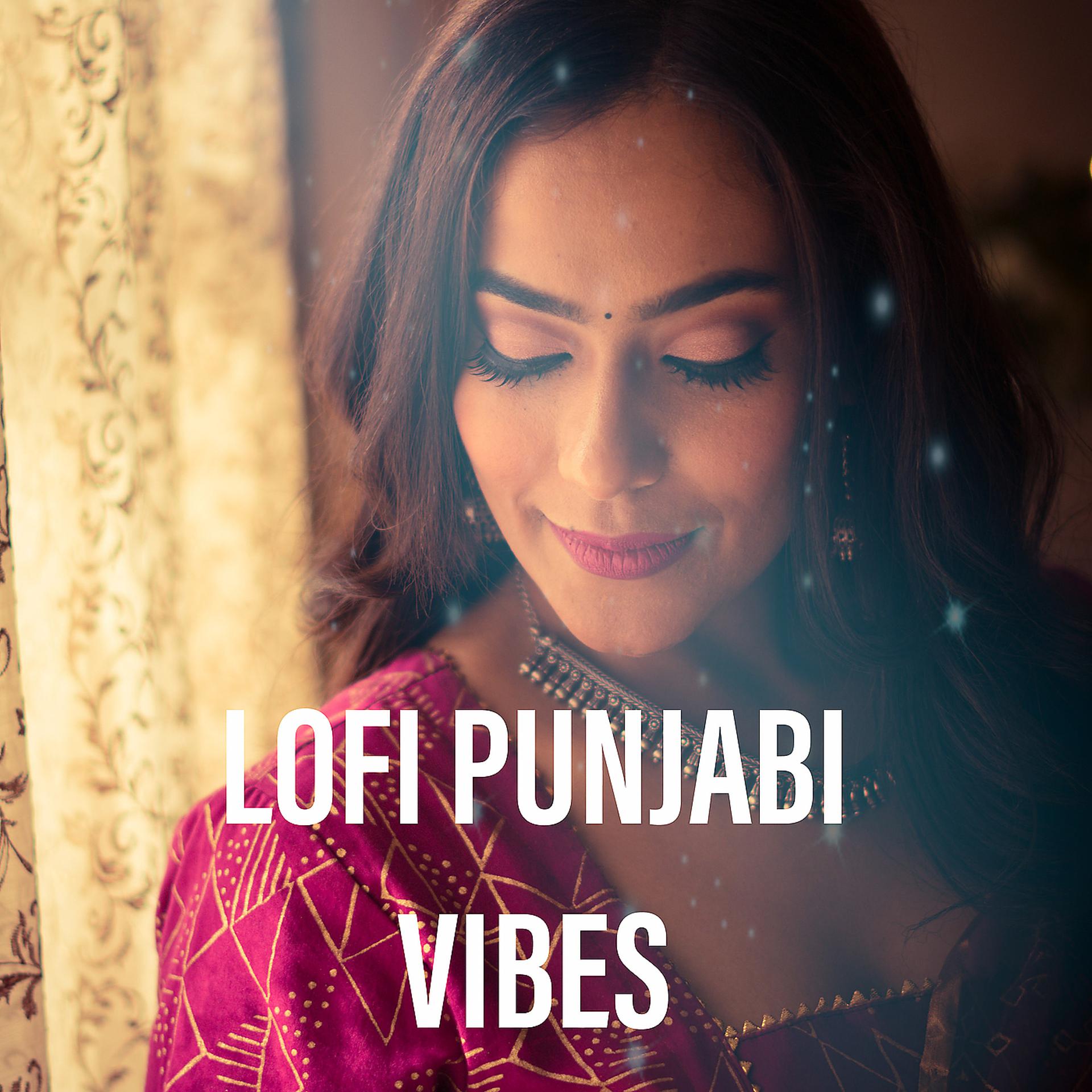 Постер альбома Lofi Punjabi Vibes
