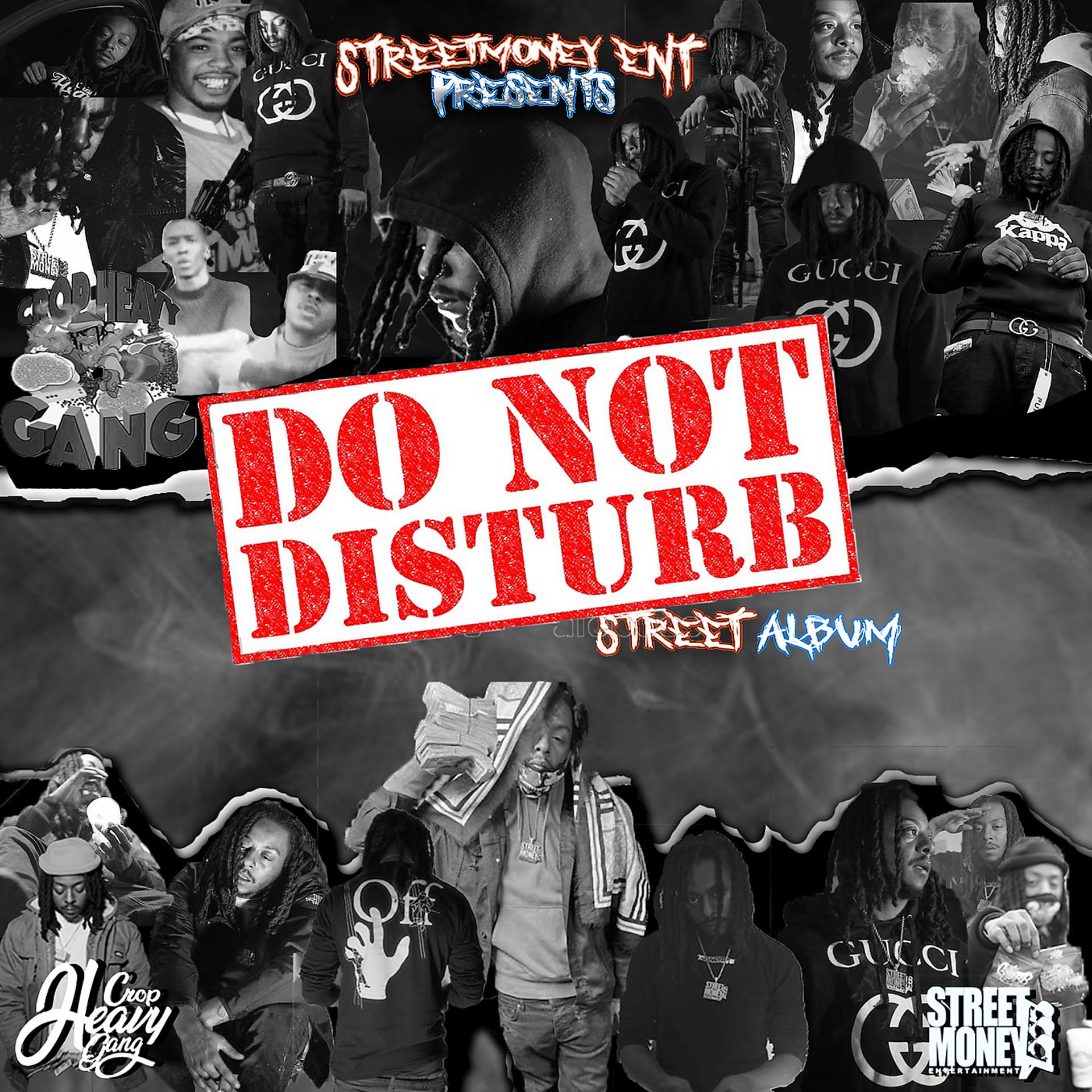 Постер альбома Do Not Disturb (Street Album)