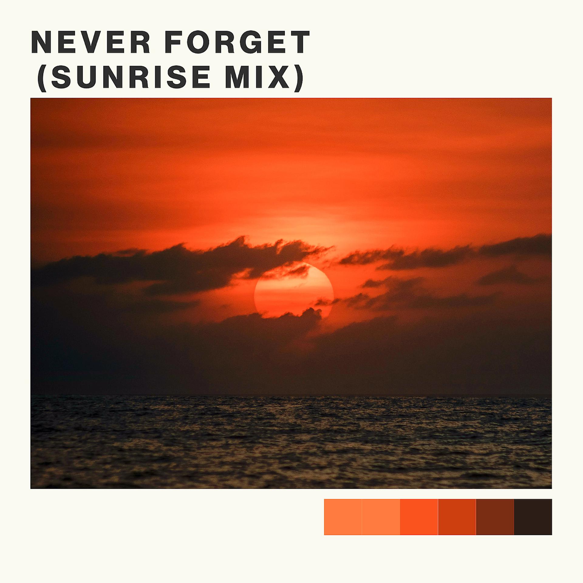 Постер альбома Never Forget (Sunrise Mix)