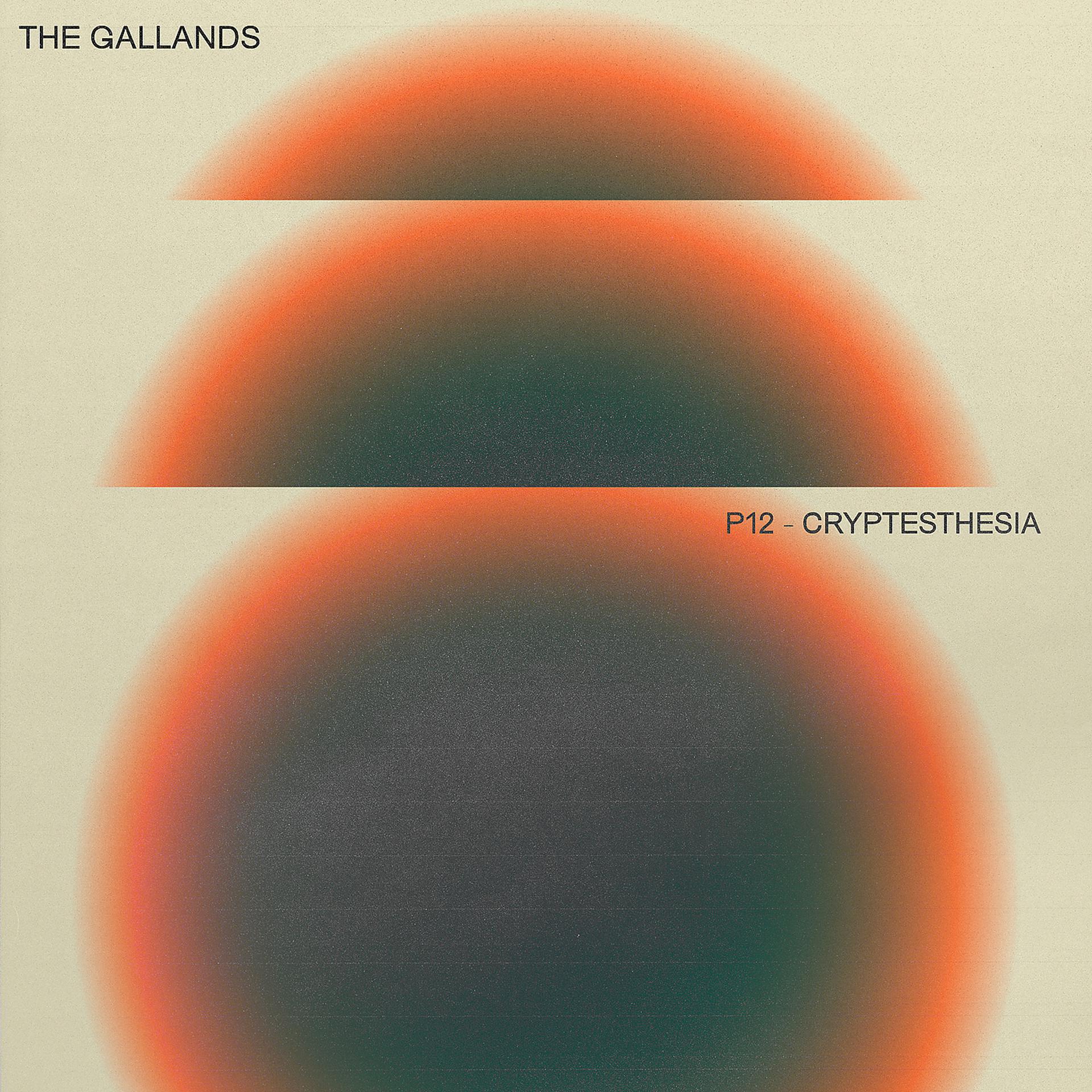 Постер альбома P12- Cryptesthesia