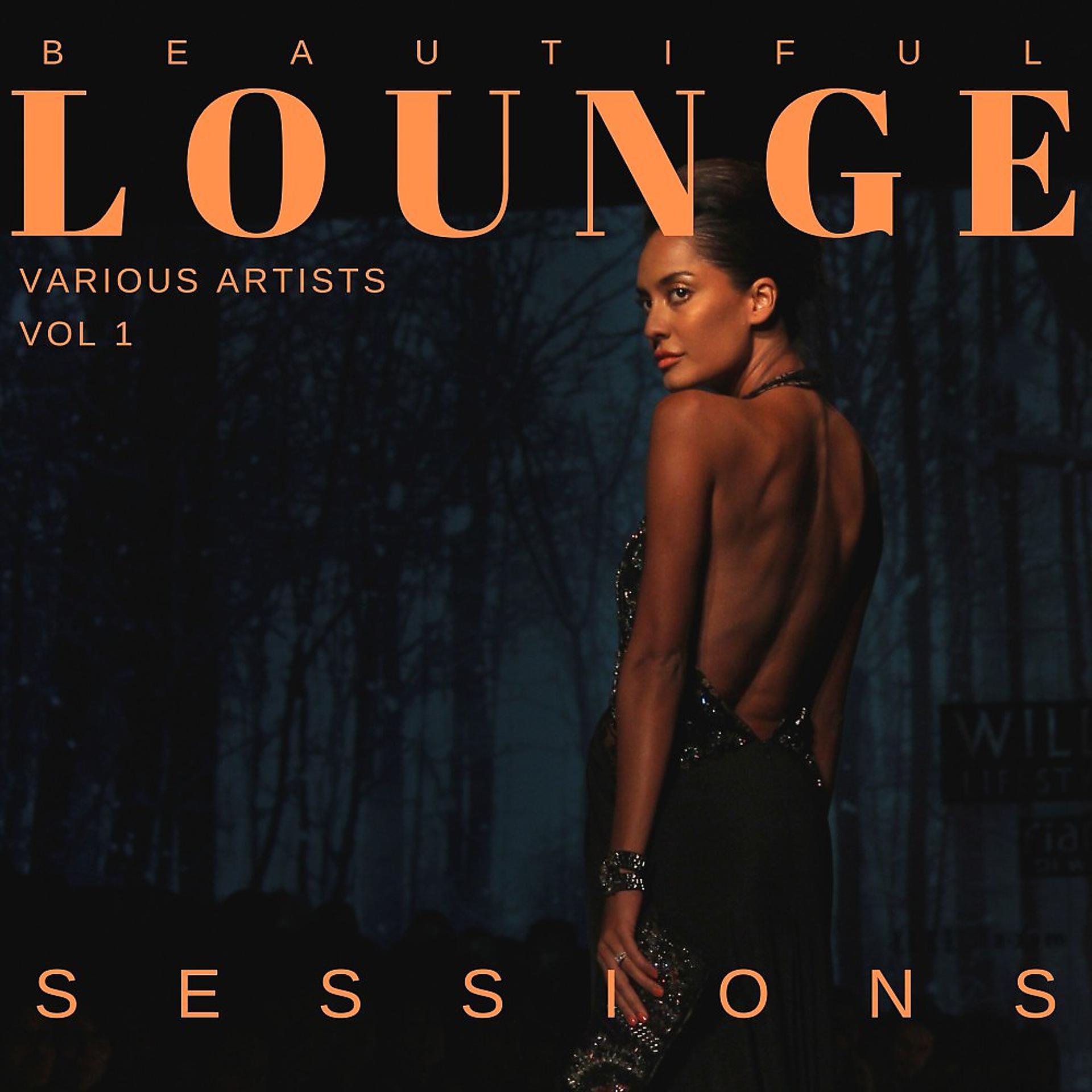 Постер альбома Beautiful Lounge Sessions, Vol. 1