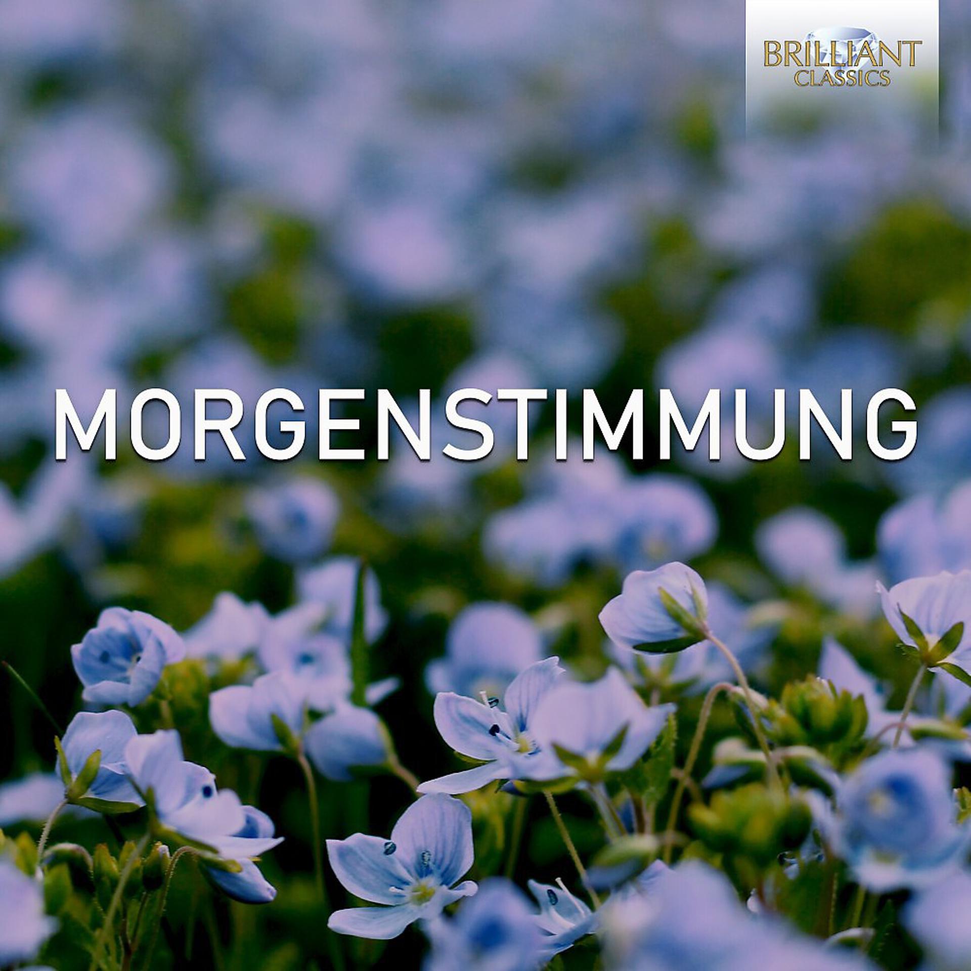 Постер альбома Morgenstimmung