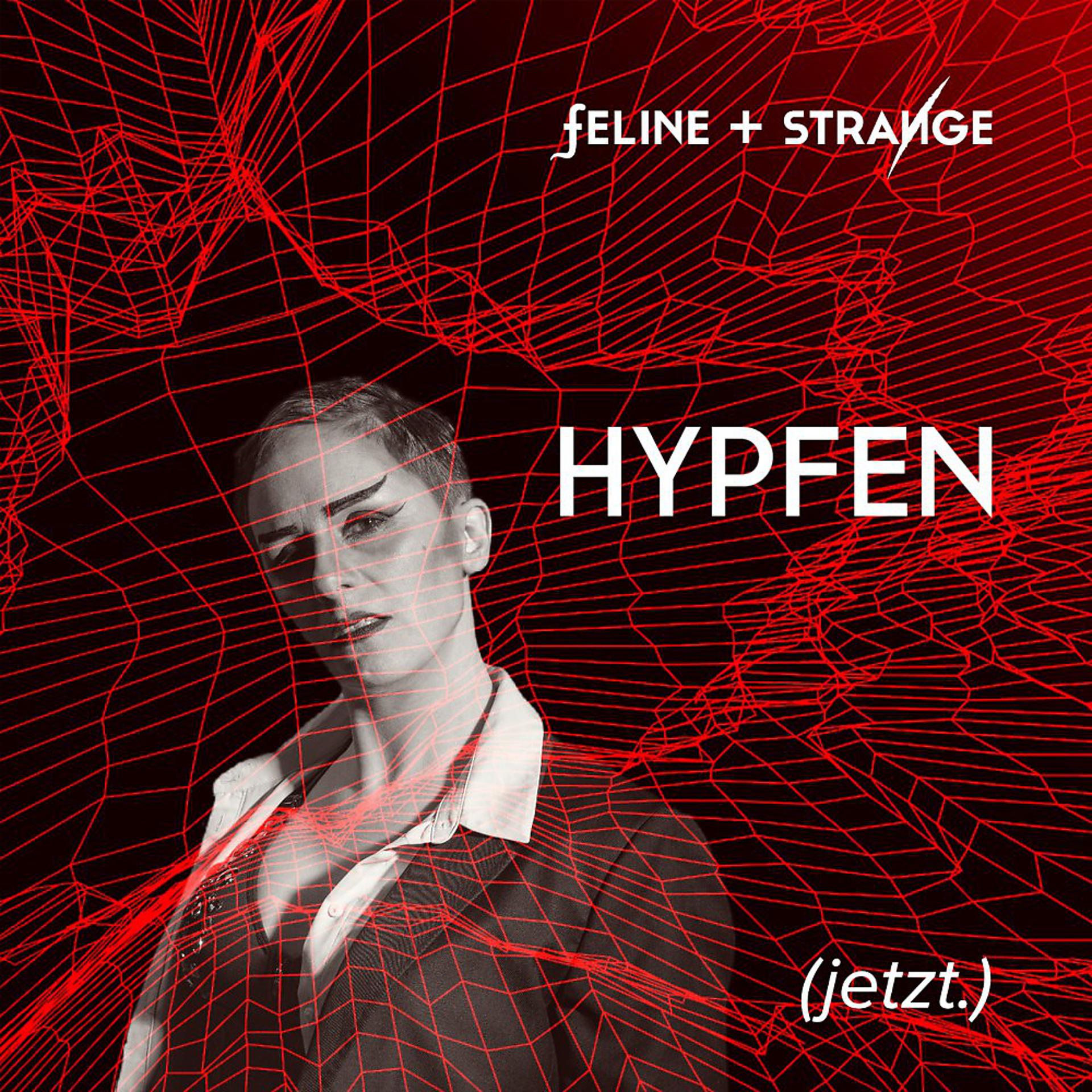 Постер альбома Hypfen