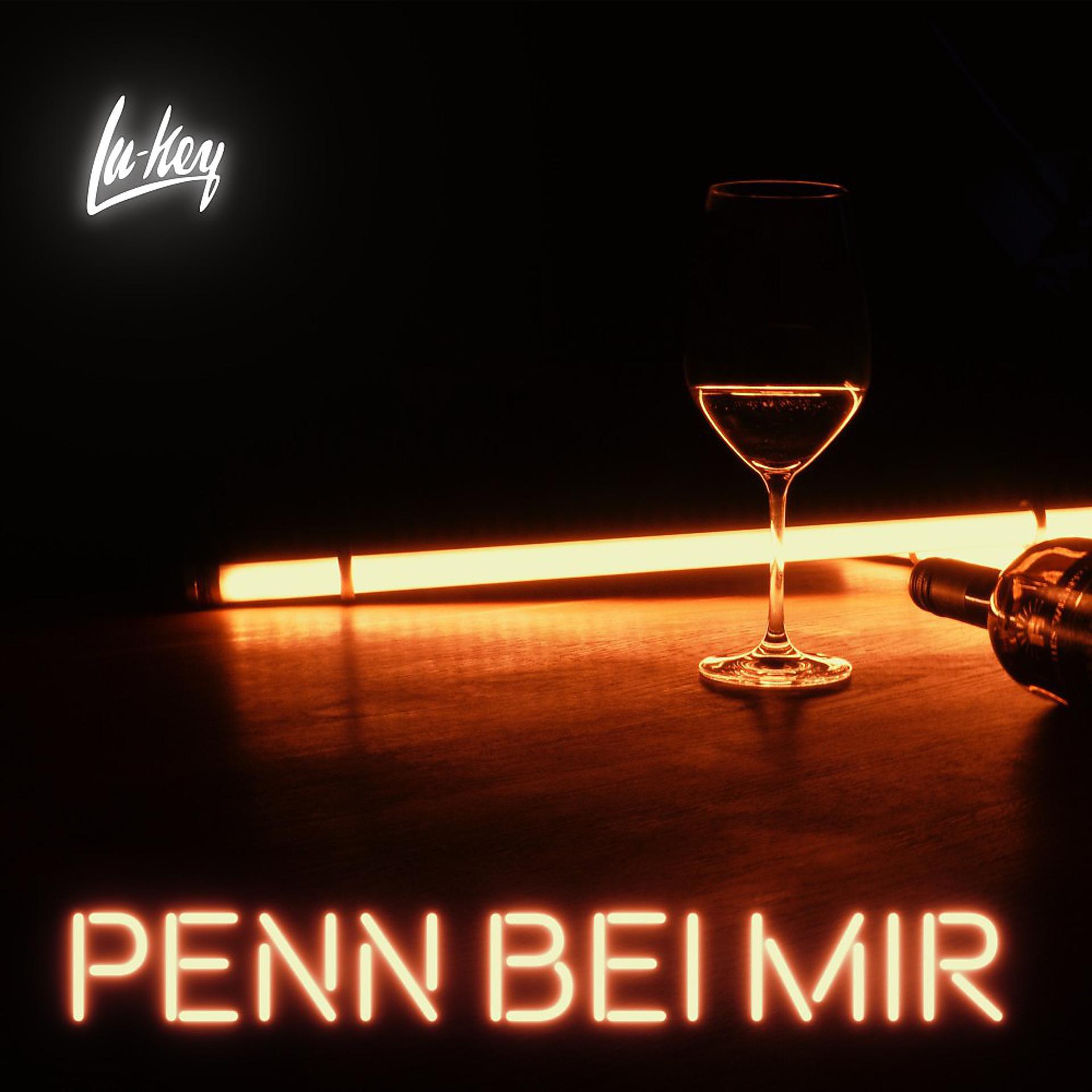 Постер альбома Penn bei mir