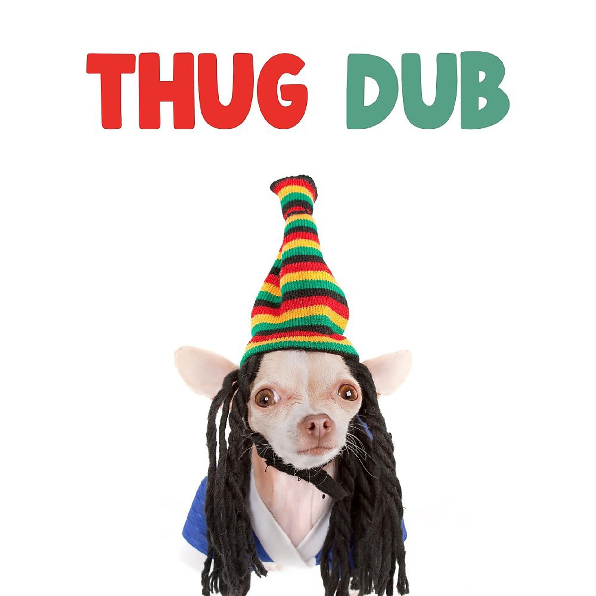 Постер альбома Thug Dub