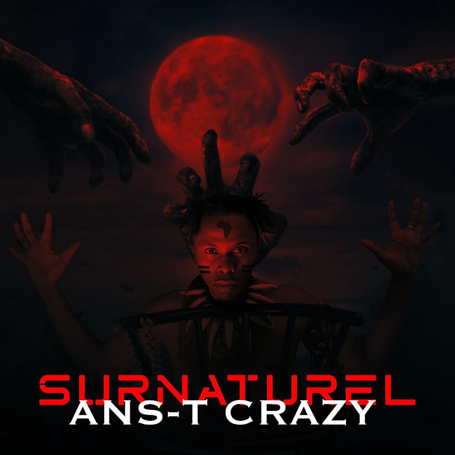 Постер альбома Surnaturel