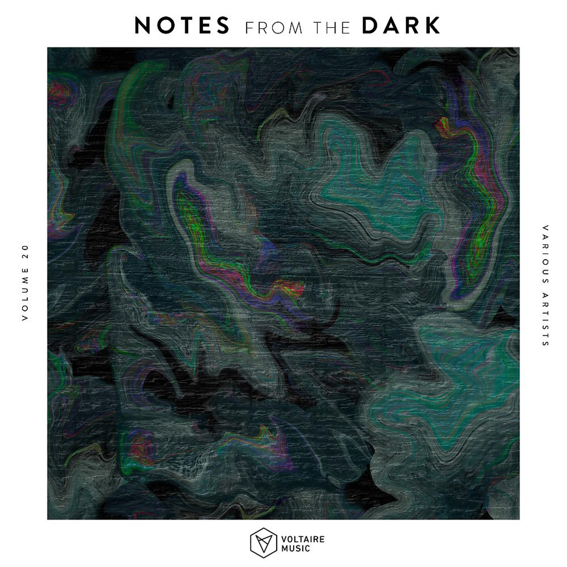 Постер альбома Notes from the Dark, Vol. 20
