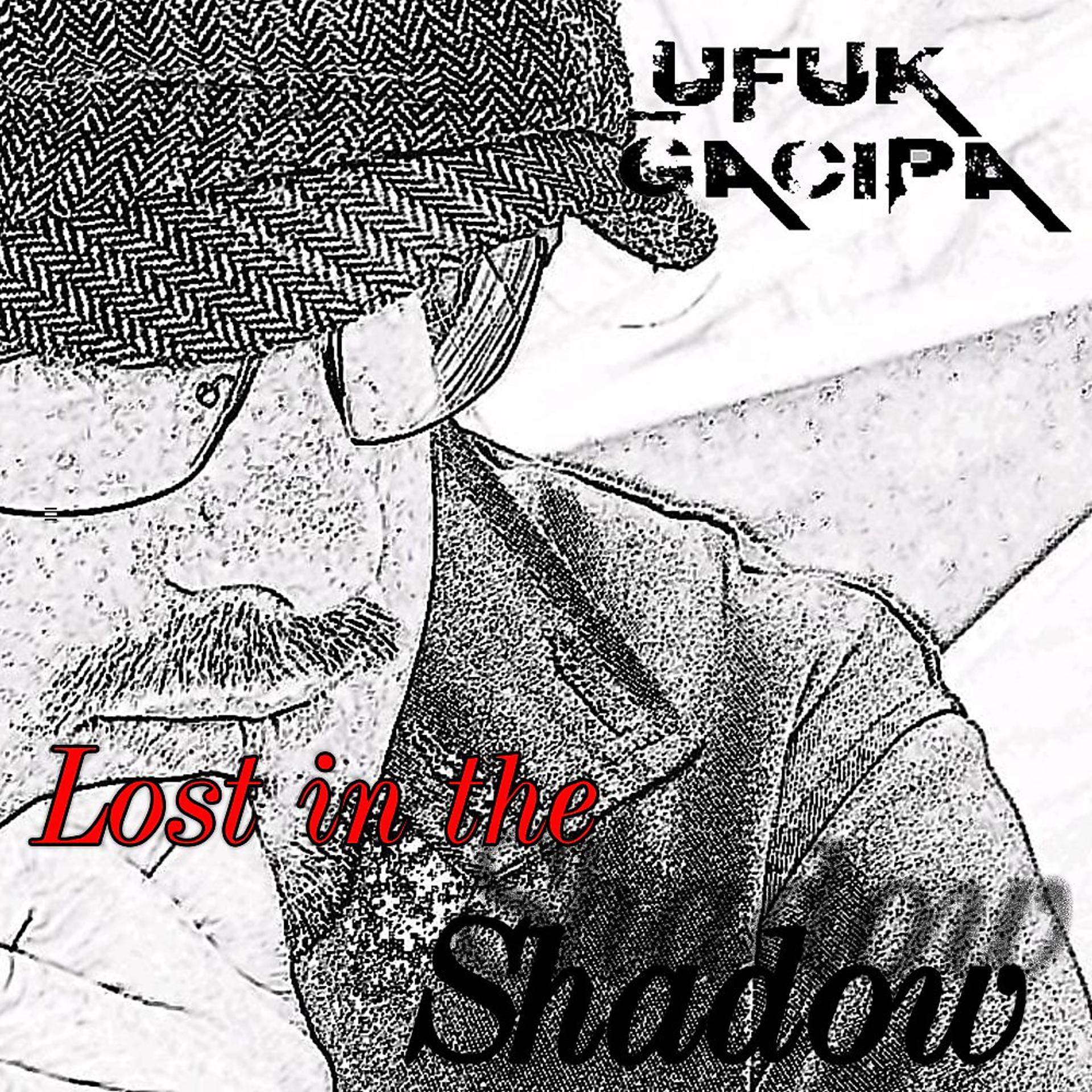 Постер альбома Lost in the Shadow