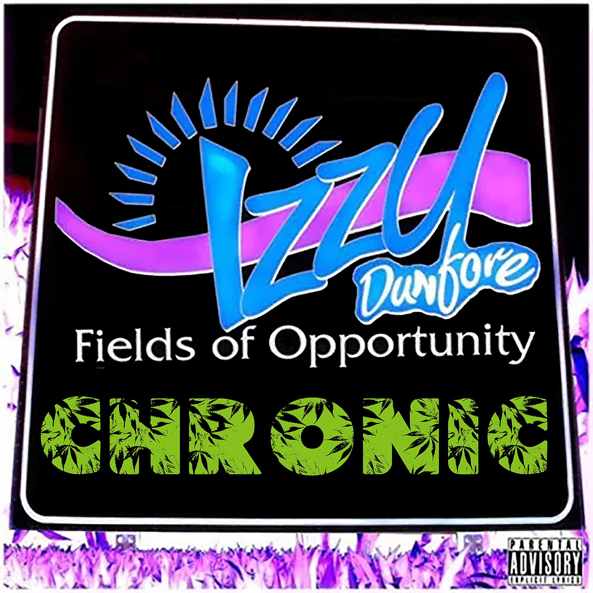 Постер альбома Fields of Opportunity: Chronic