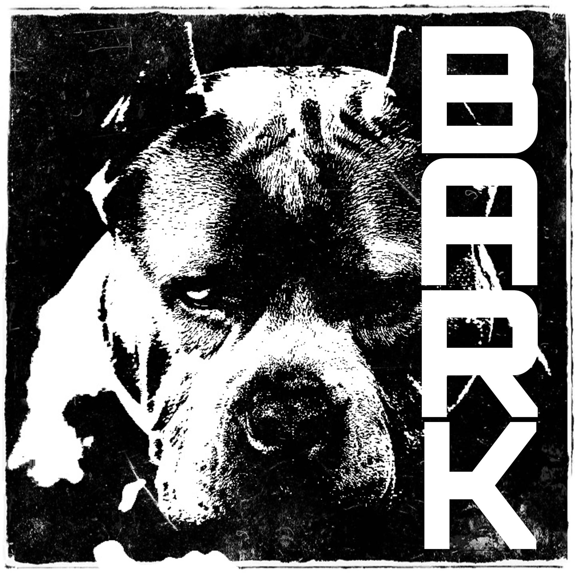 Постер альбома Bark