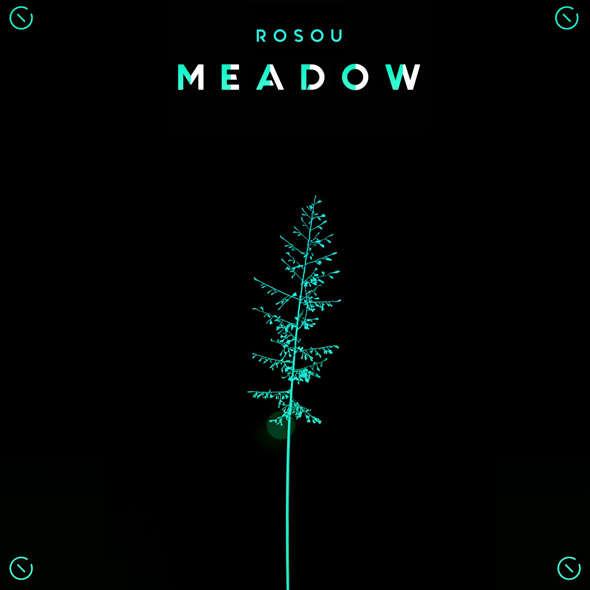 Постер альбома Meadow