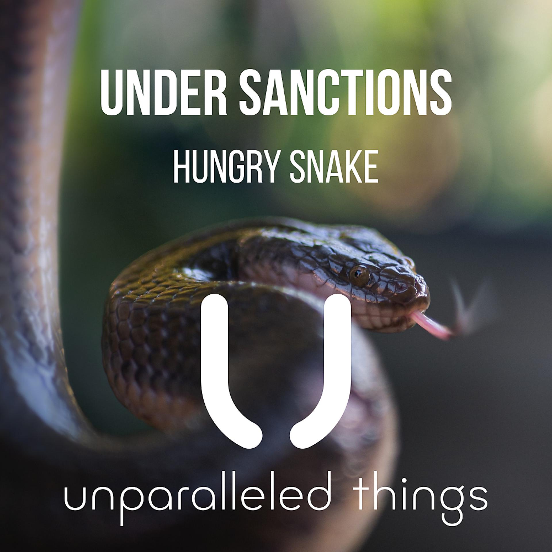 Постер альбома Hungry Snake