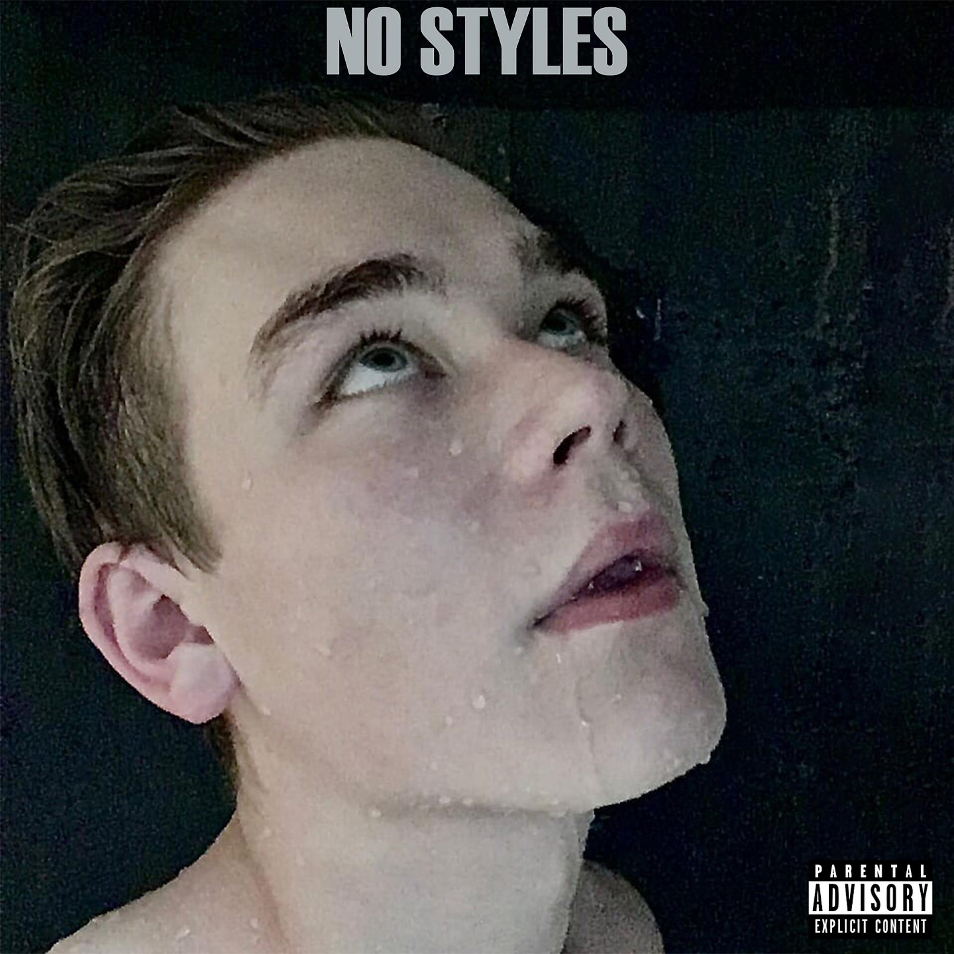 Постер альбома NO STYLES