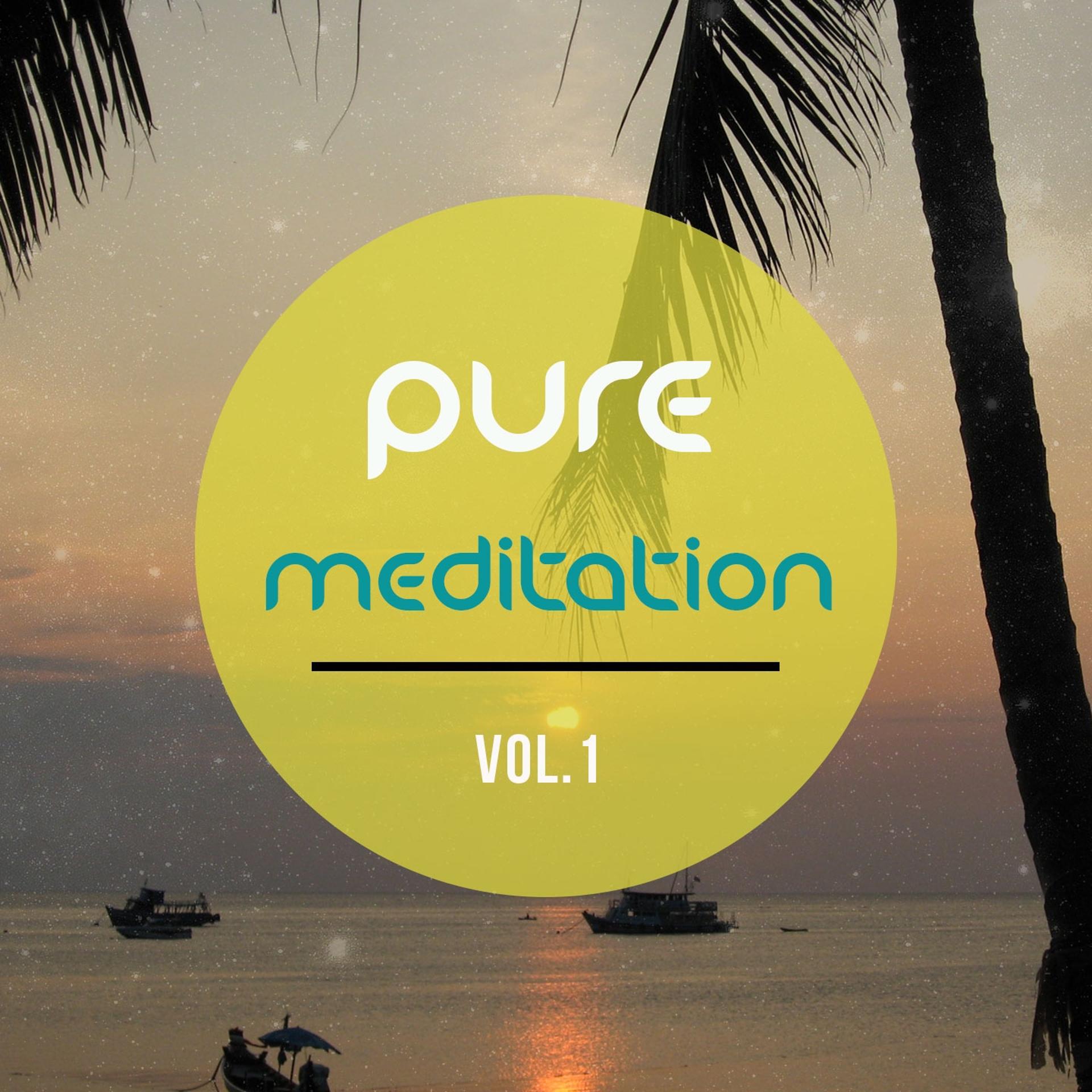 Постер альбома Pure Meditation, Vol. 1