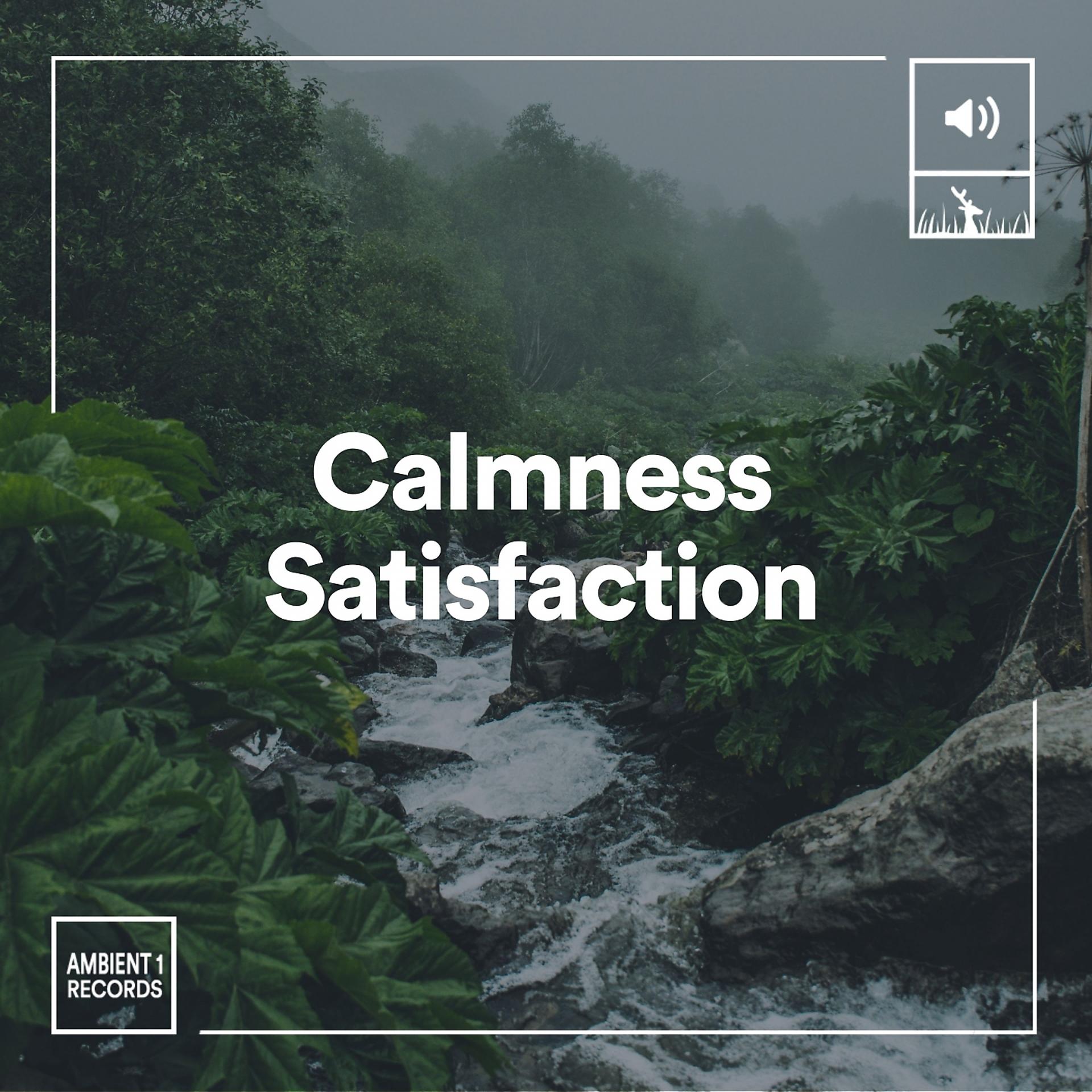 Постер альбома Calmness Satisfaction