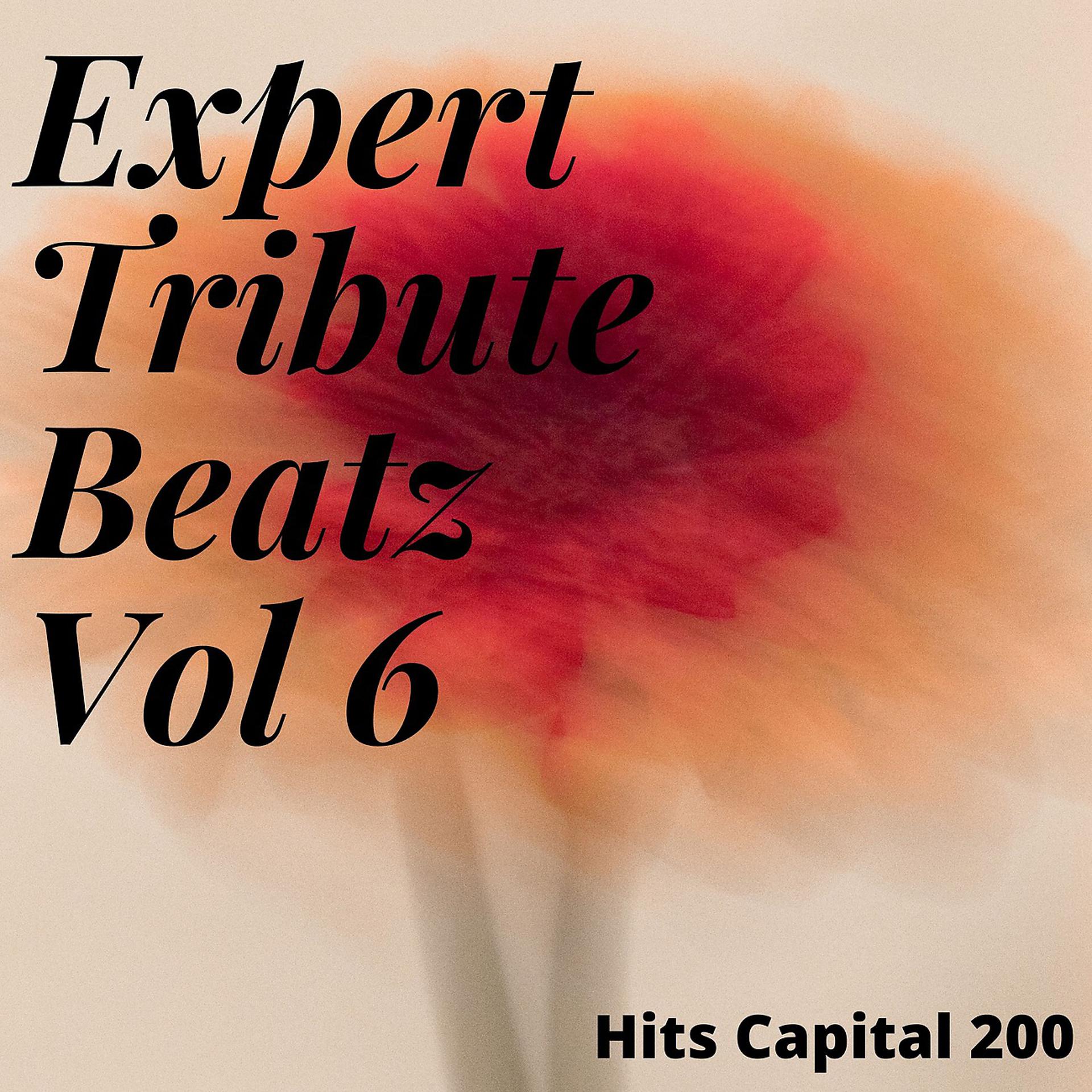 Постер альбома Expert Tribute Beatz Vol 6