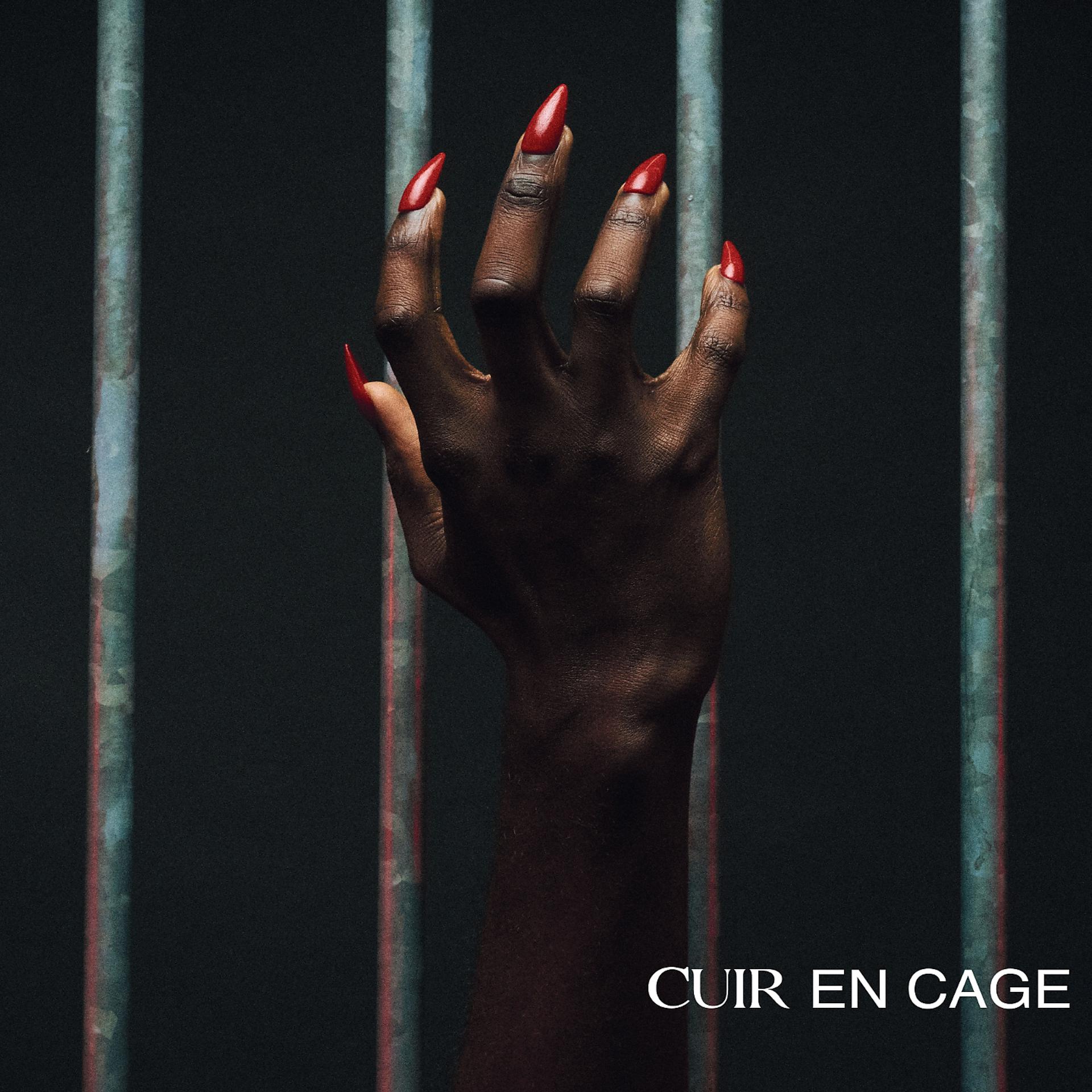 Постер альбома Cuir en cage