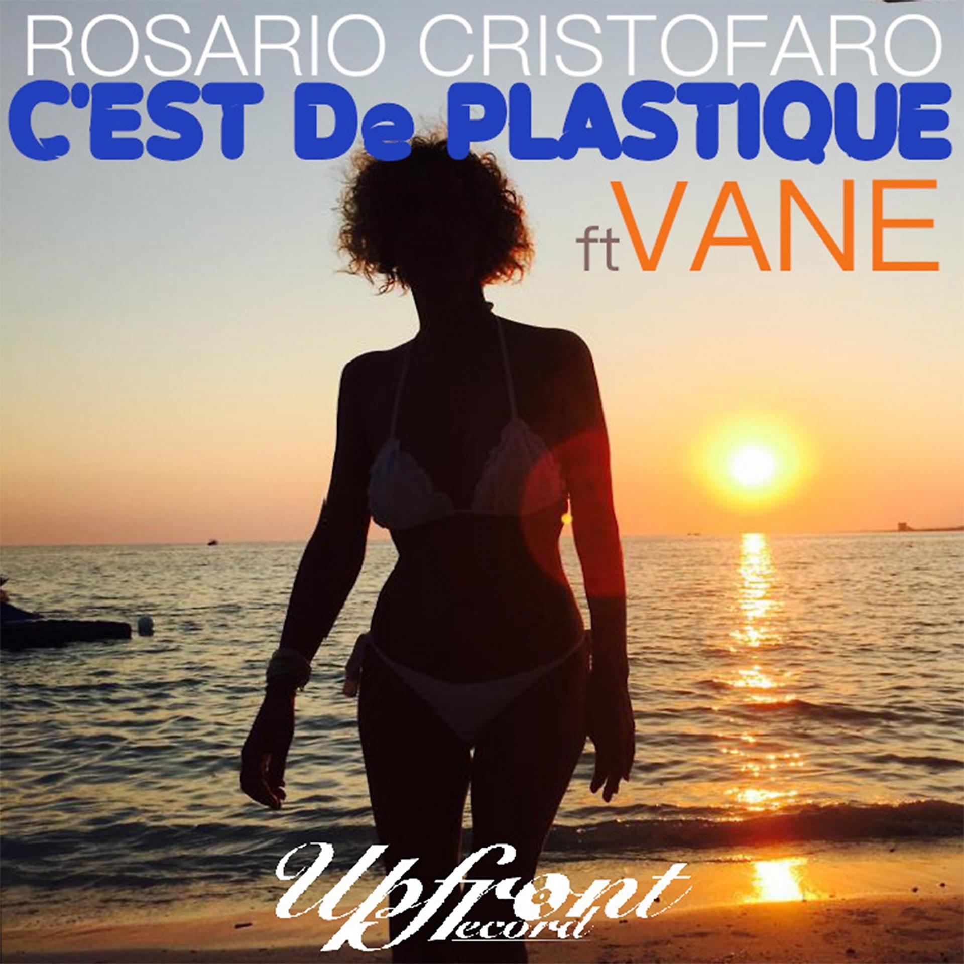 Постер альбома C'est de plastique