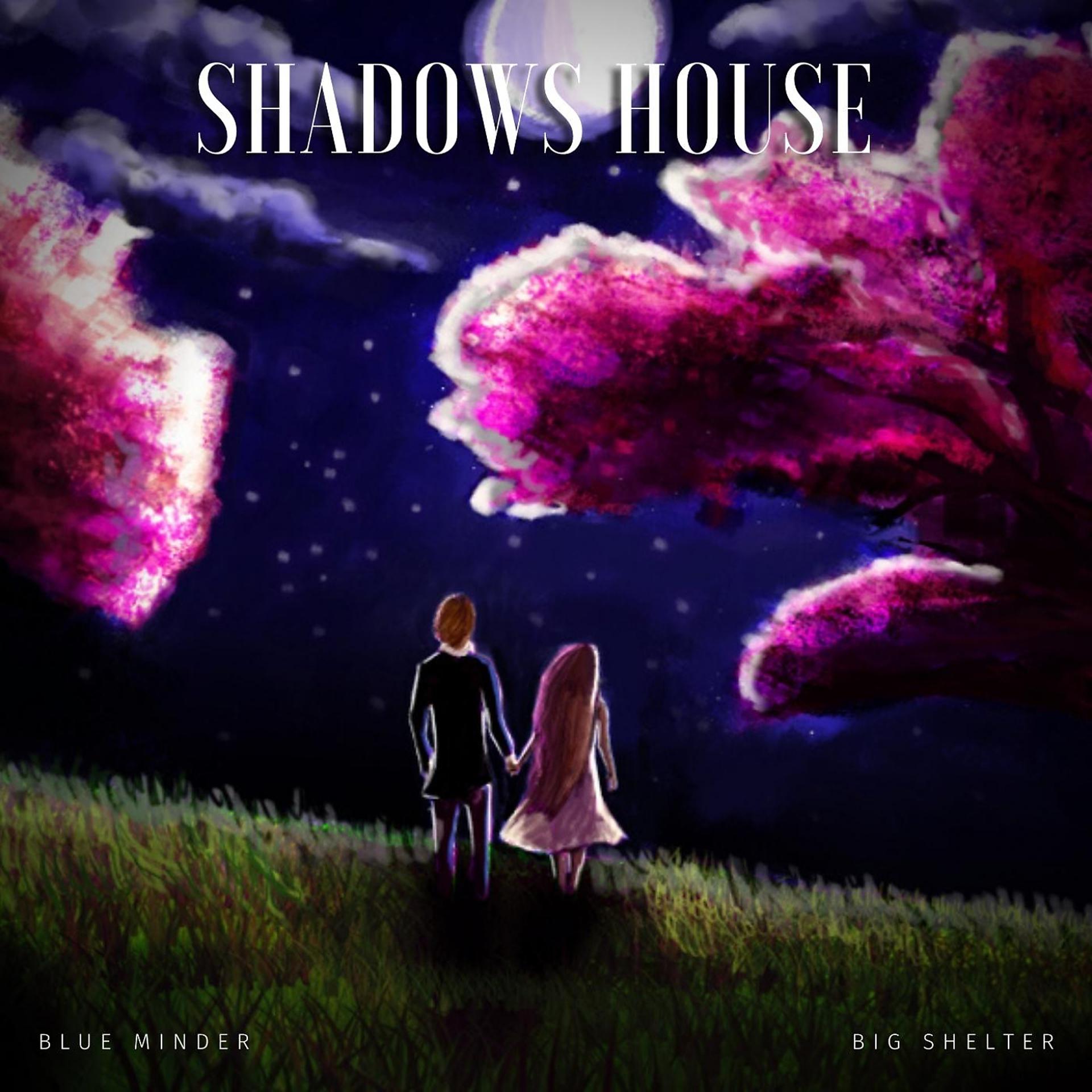 Постер альбома Shadows House