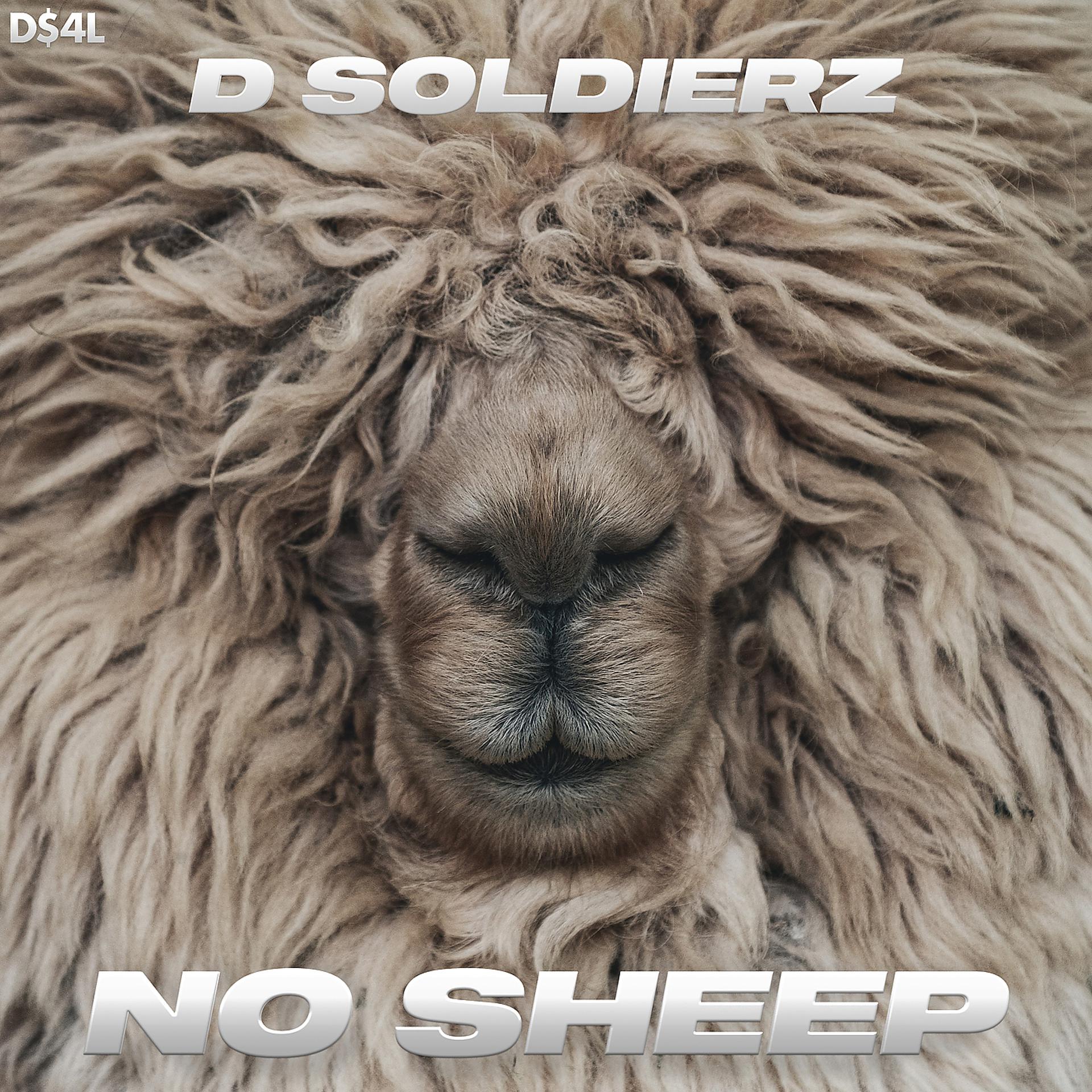 Постер альбома No Sheep