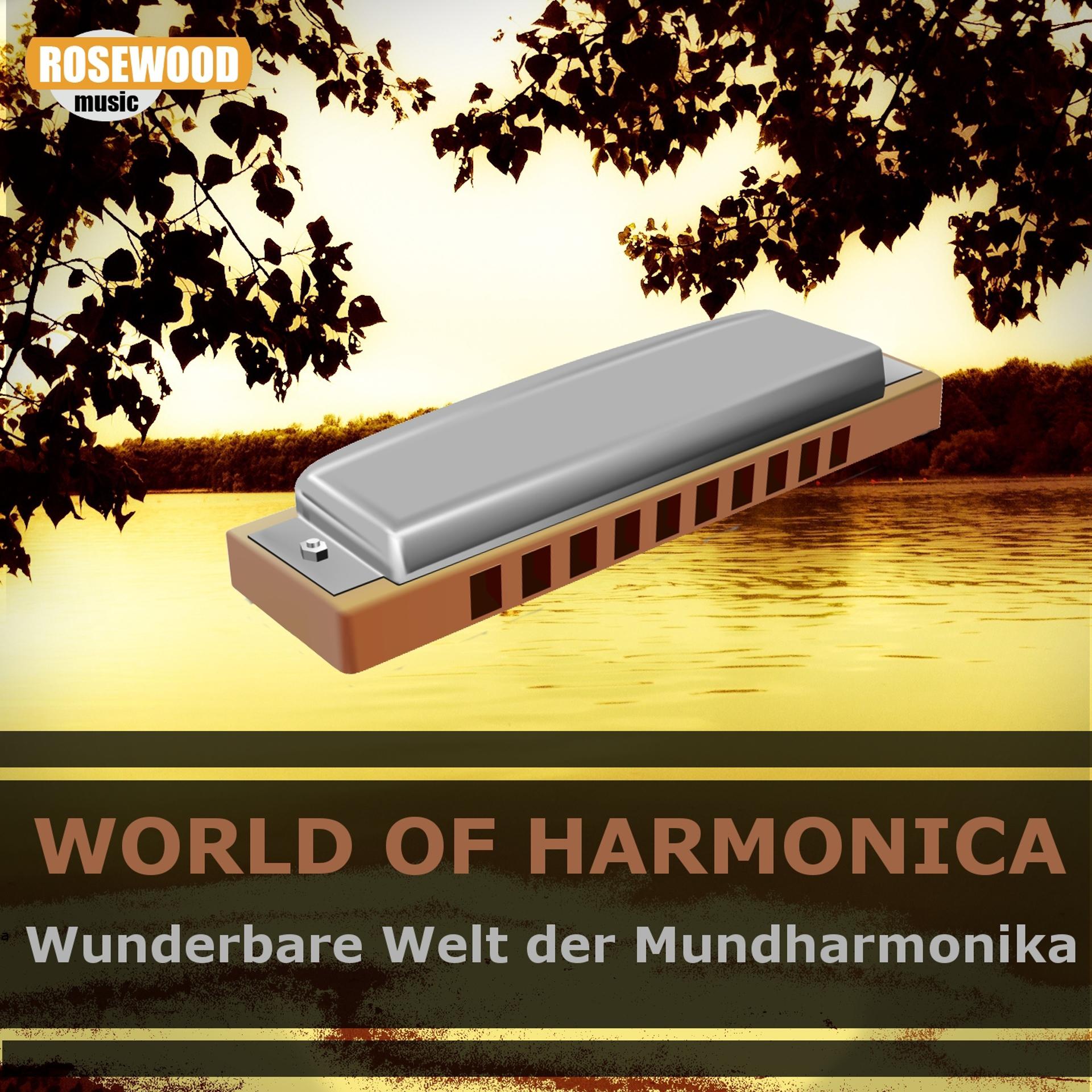 Постер альбома World of Harmonica