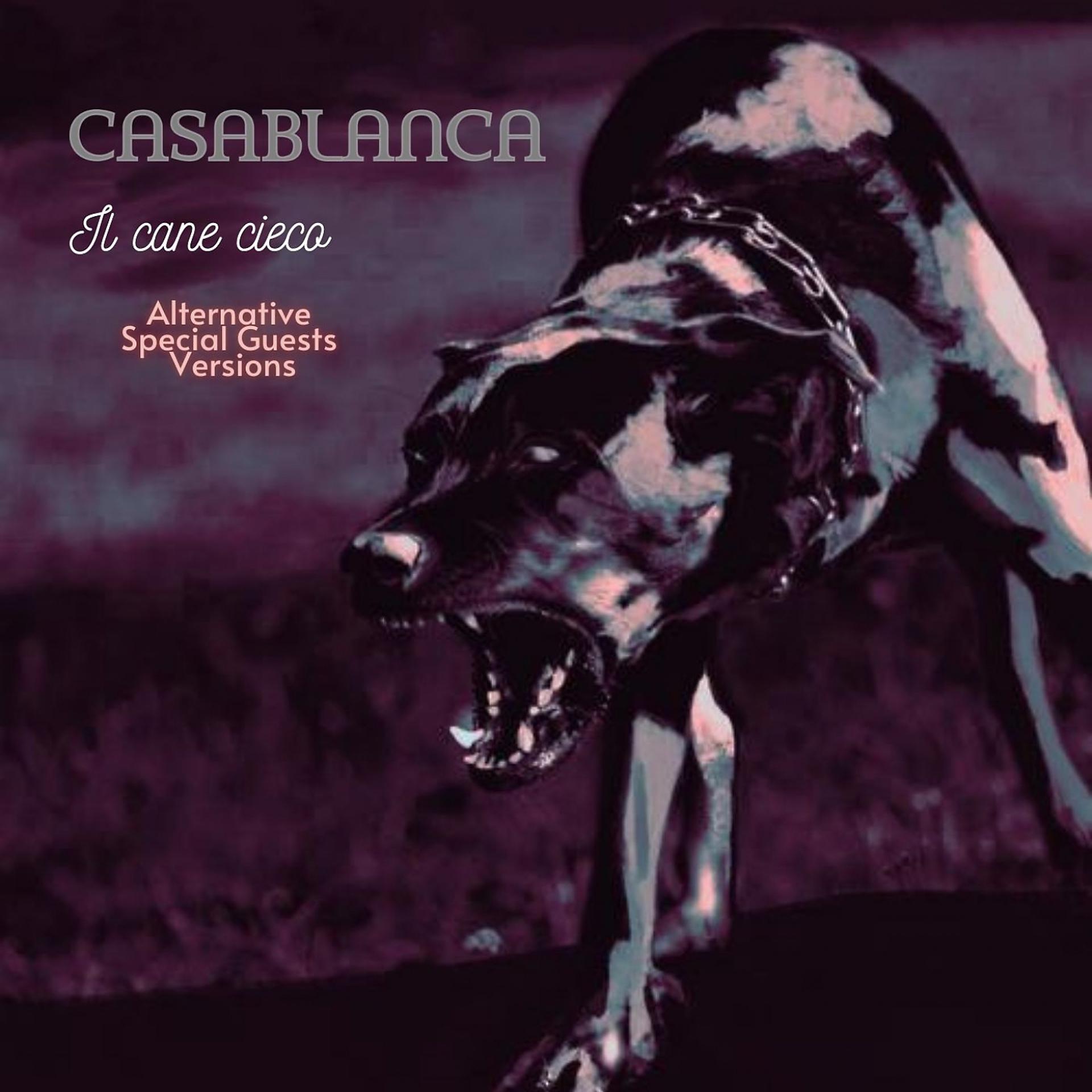 Постер альбома Il cane cieco