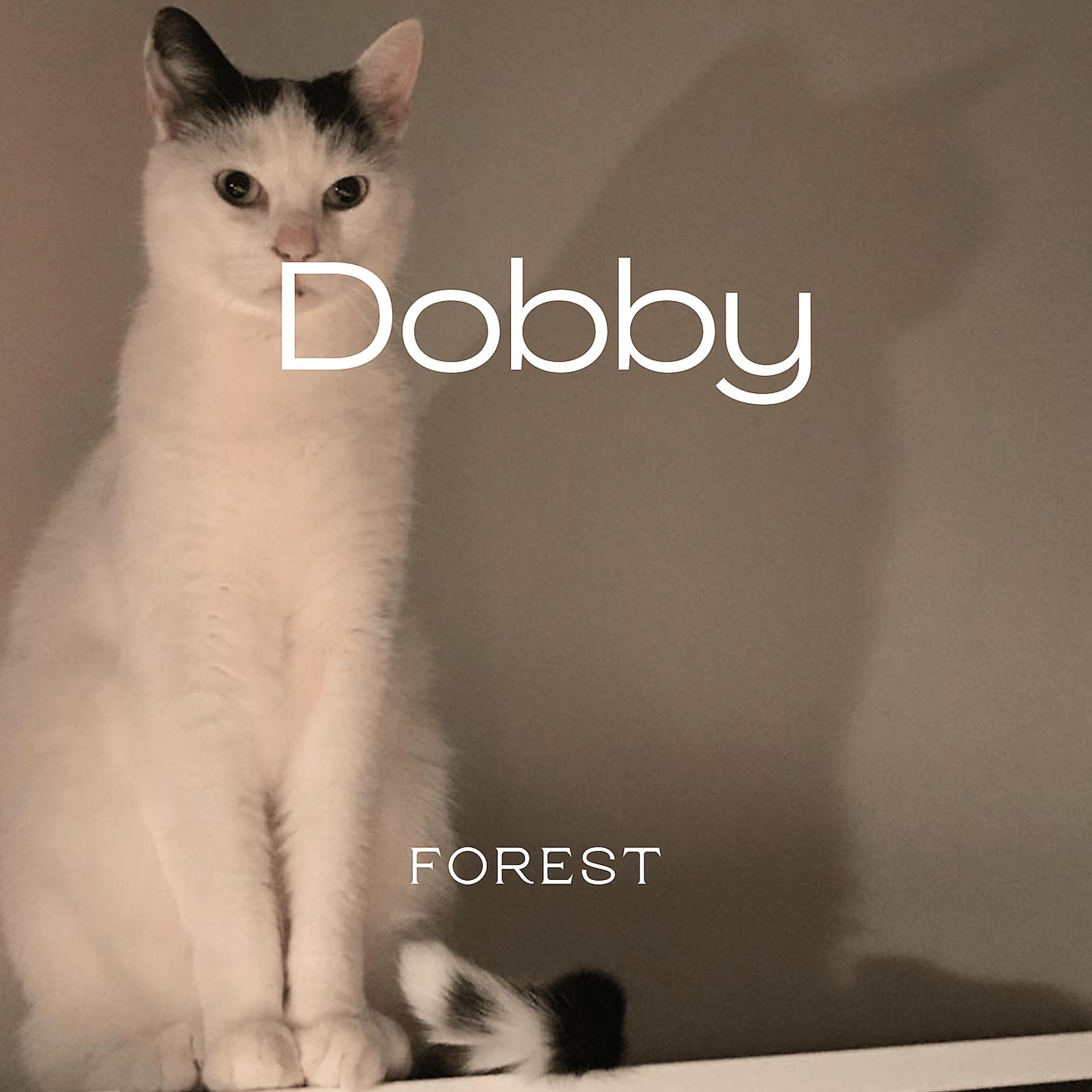 Постер альбома Dobby