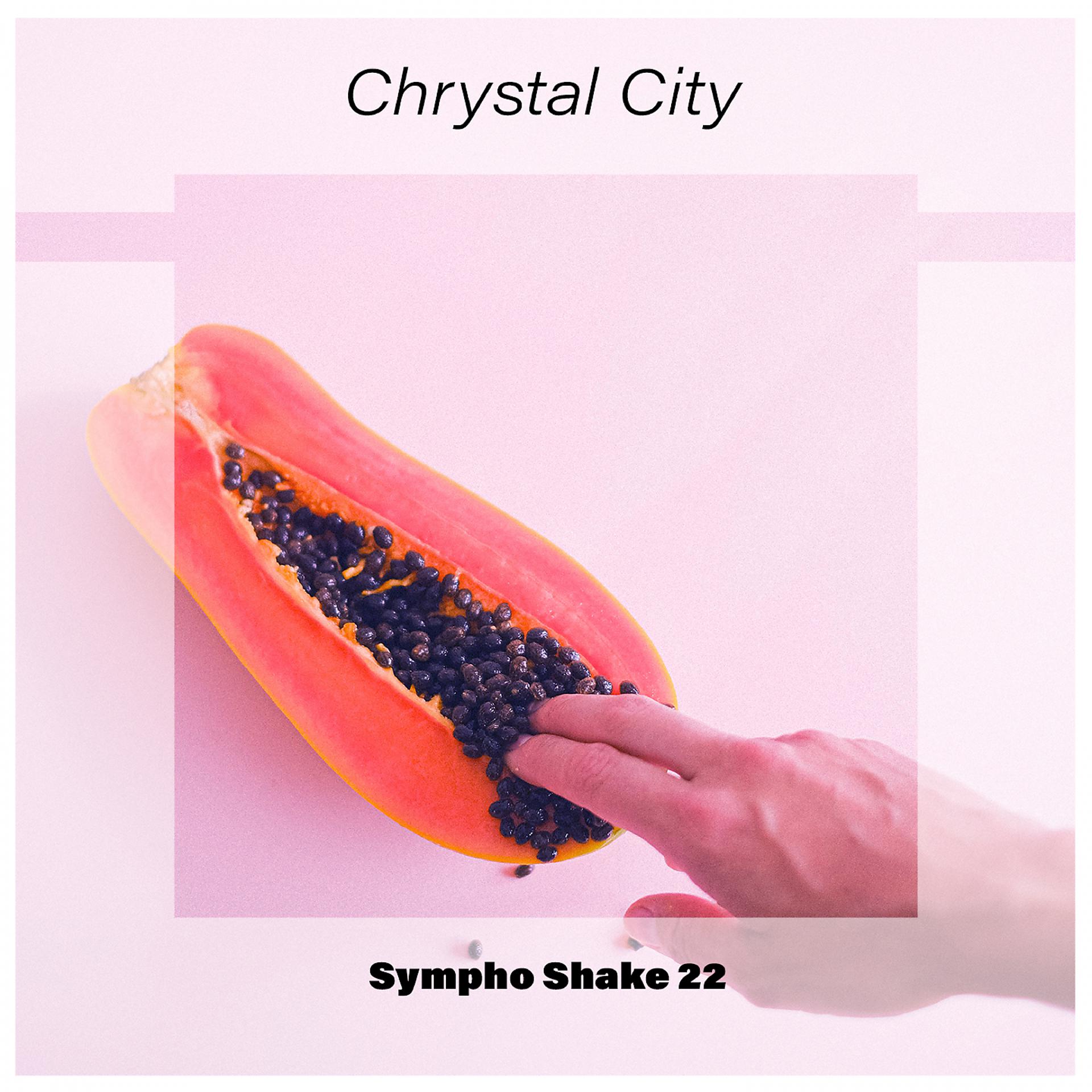 Постер альбома Chrystal City Sympho Shake 22