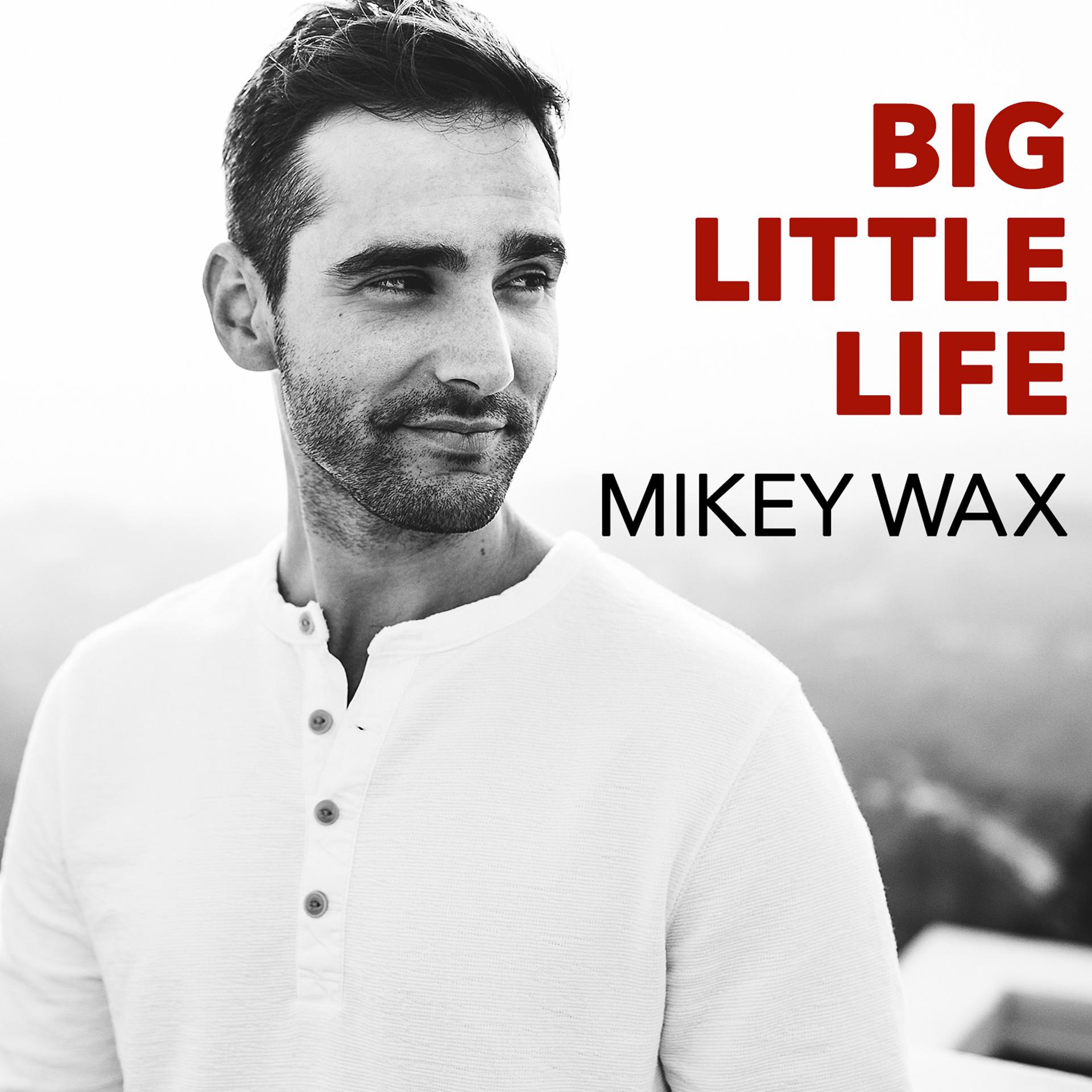 Постер альбома Big Little Life