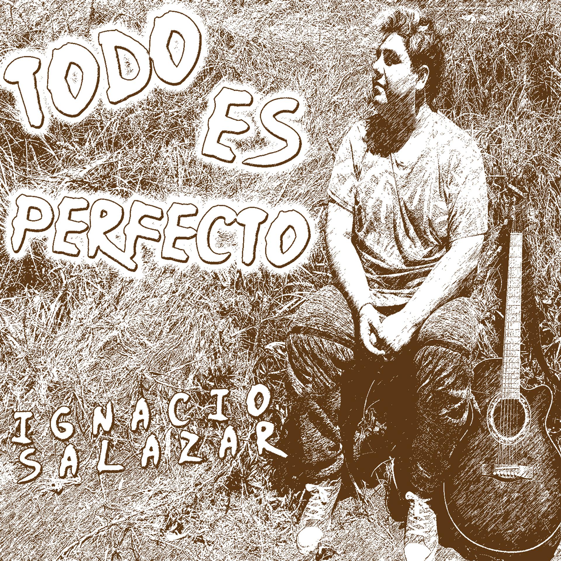 Постер альбома Todo Es Perfecto
