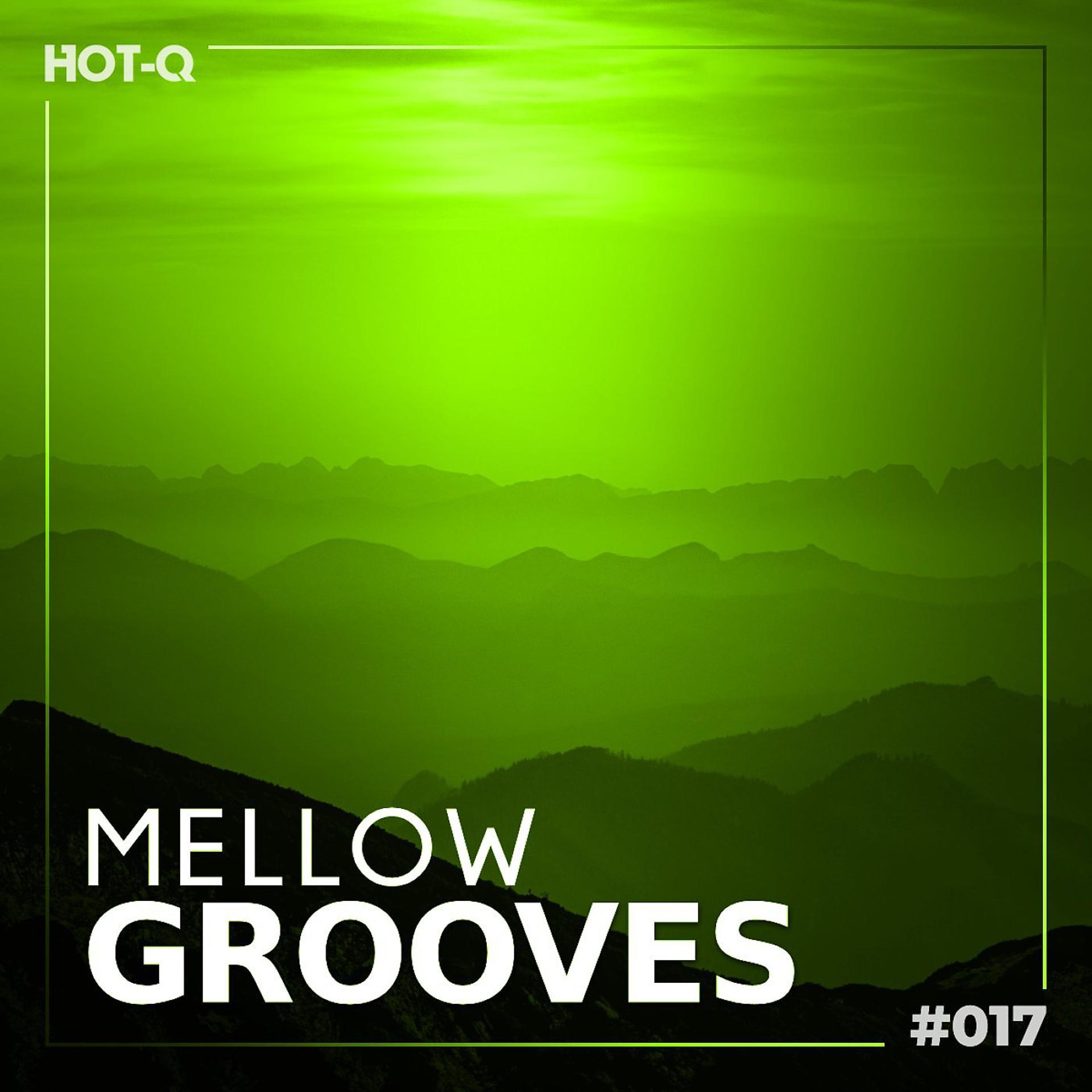 Постер альбома Mellow Grooves 017