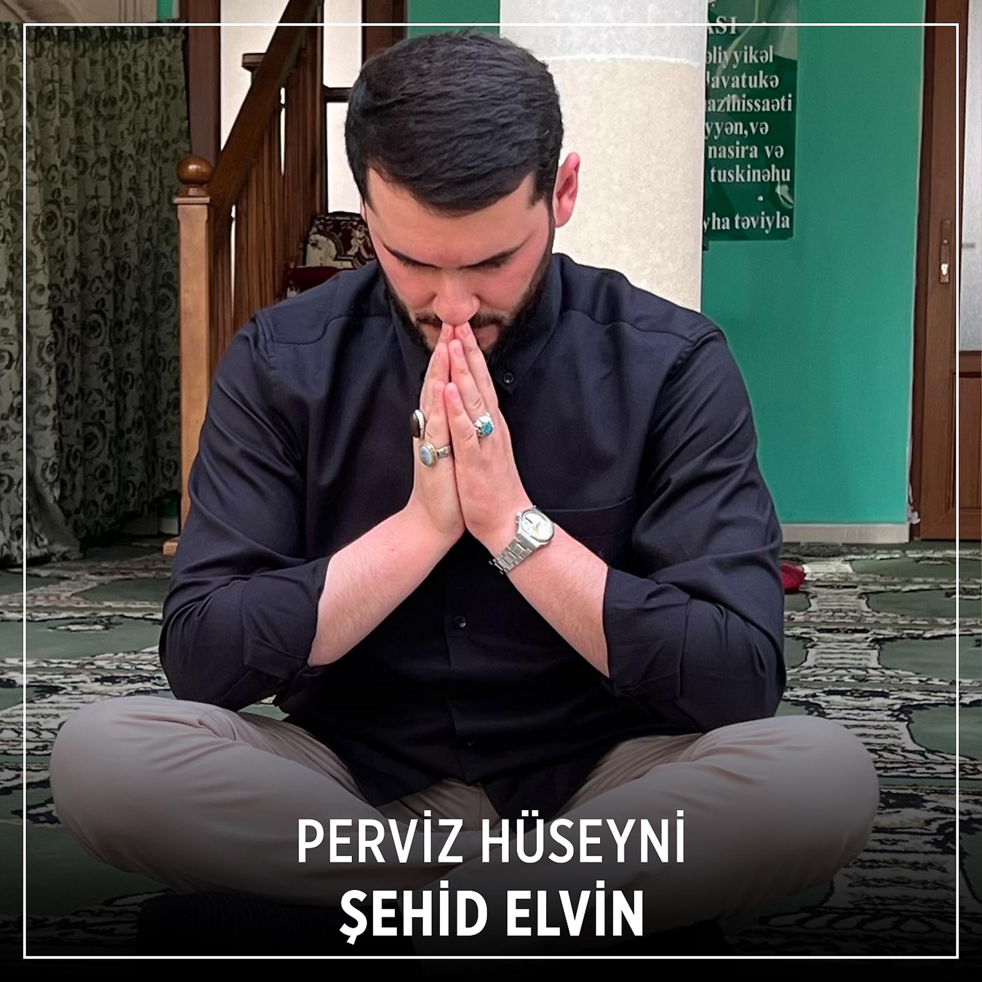 Постер альбома Şehid Elvin