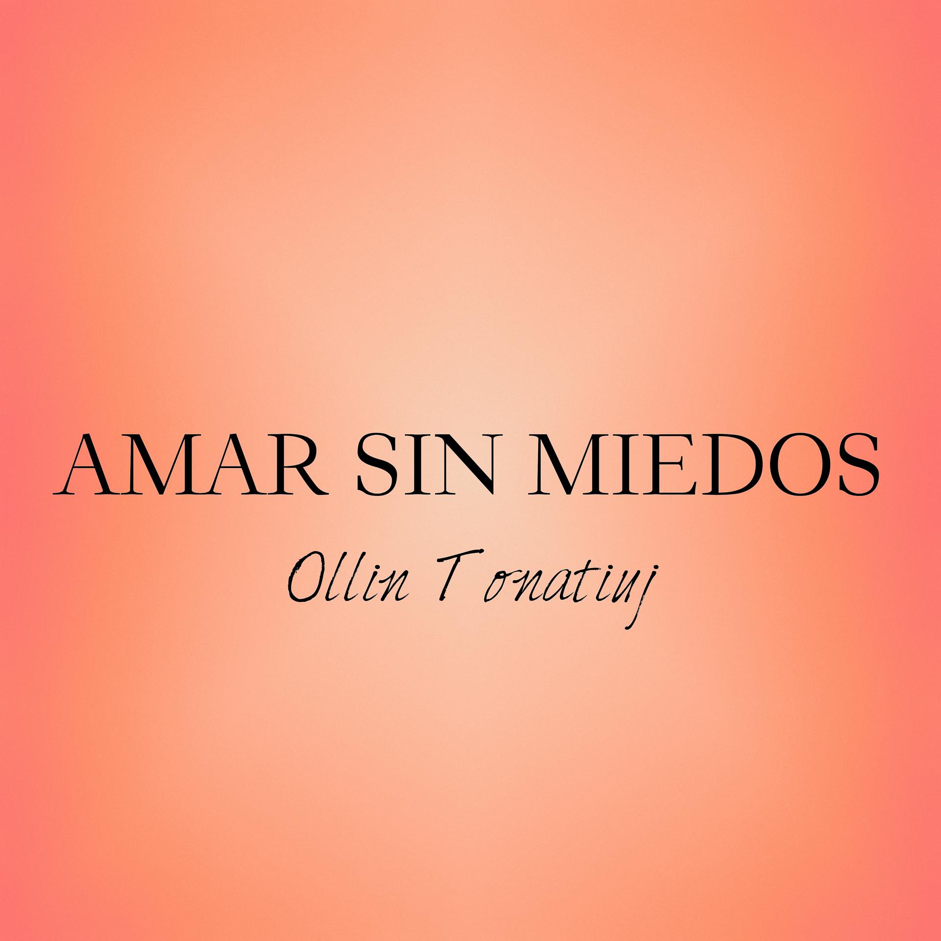 Постер альбома Amar Sin Miedos