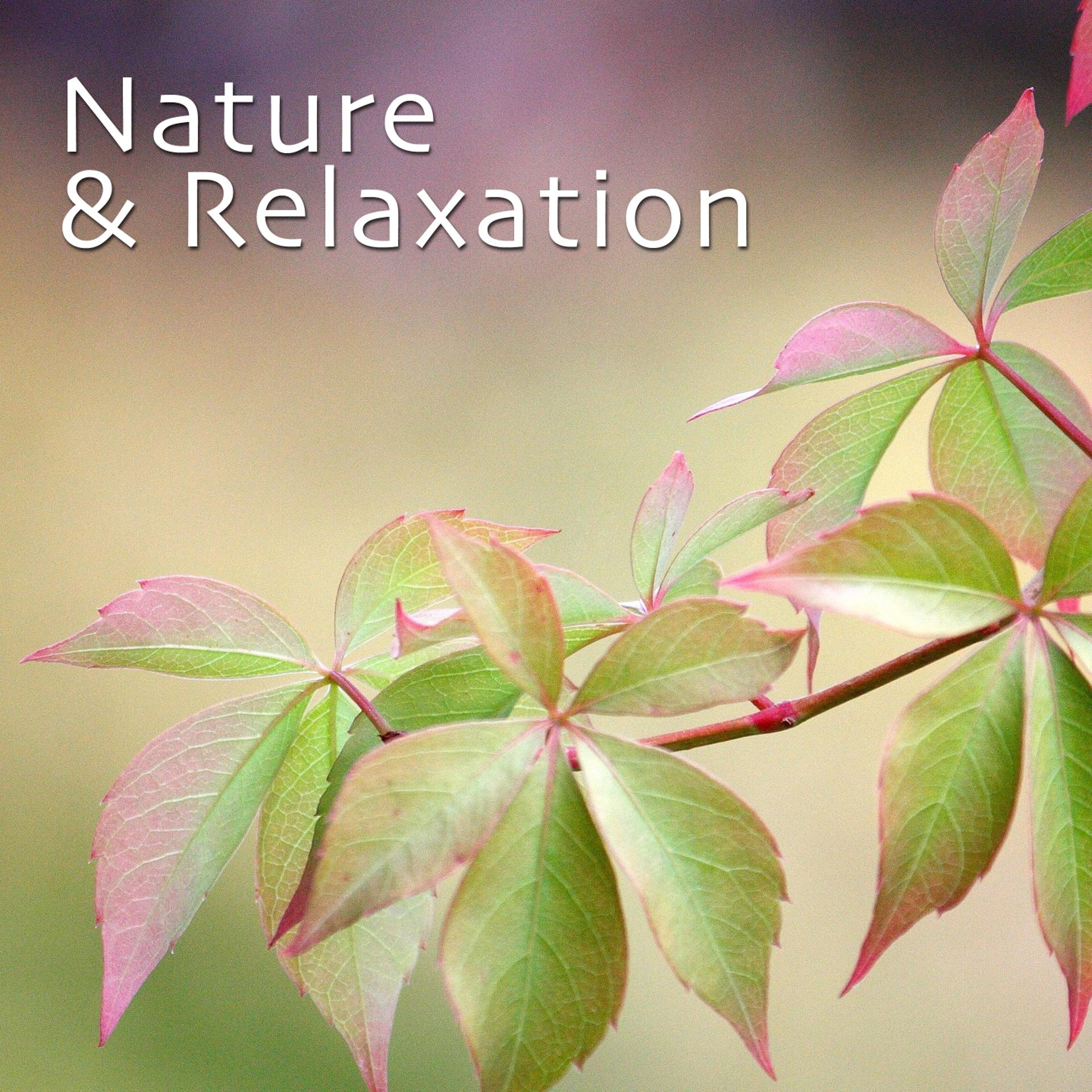 Постер альбома Nature & Relaxation