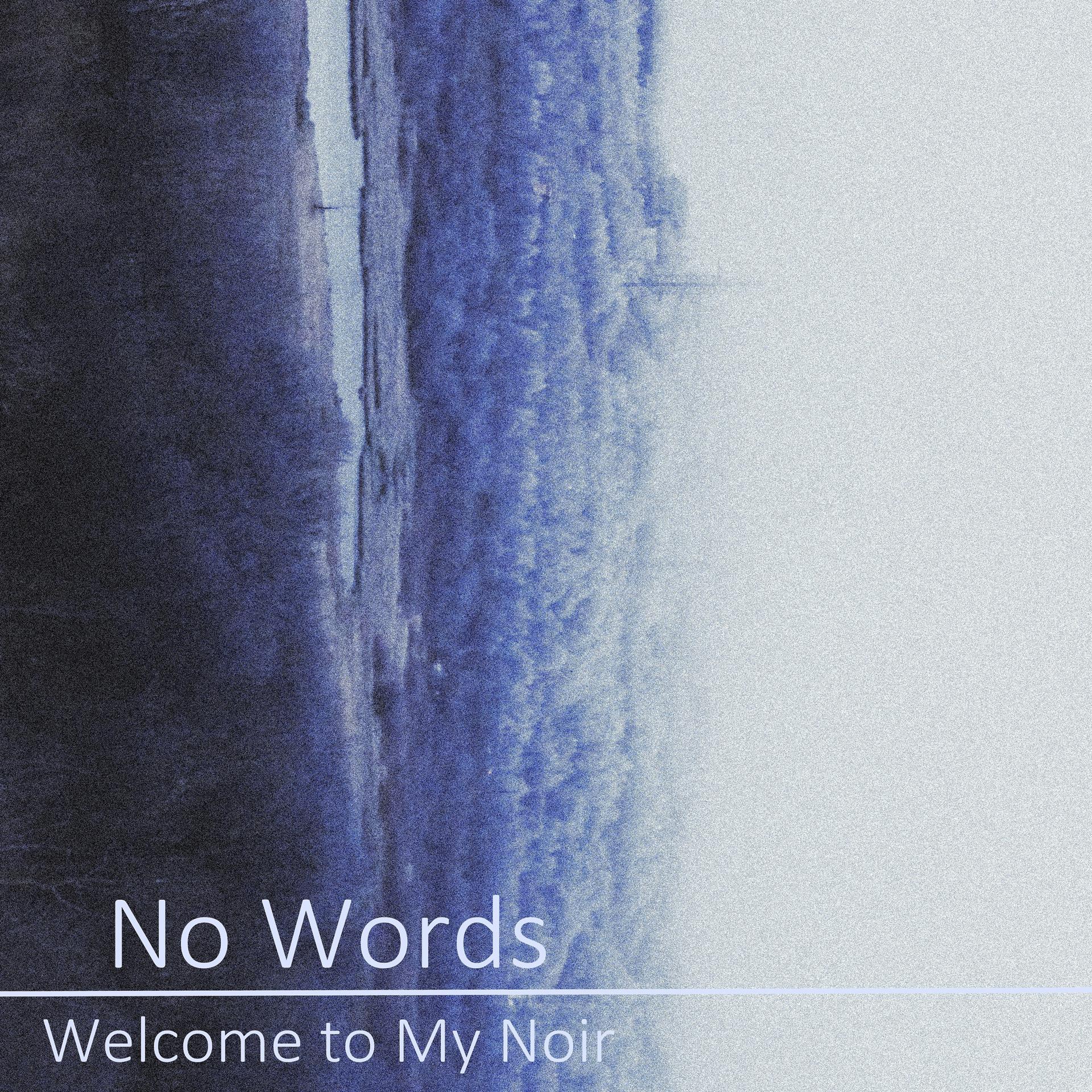 Постер альбома Welcome to My Noir
