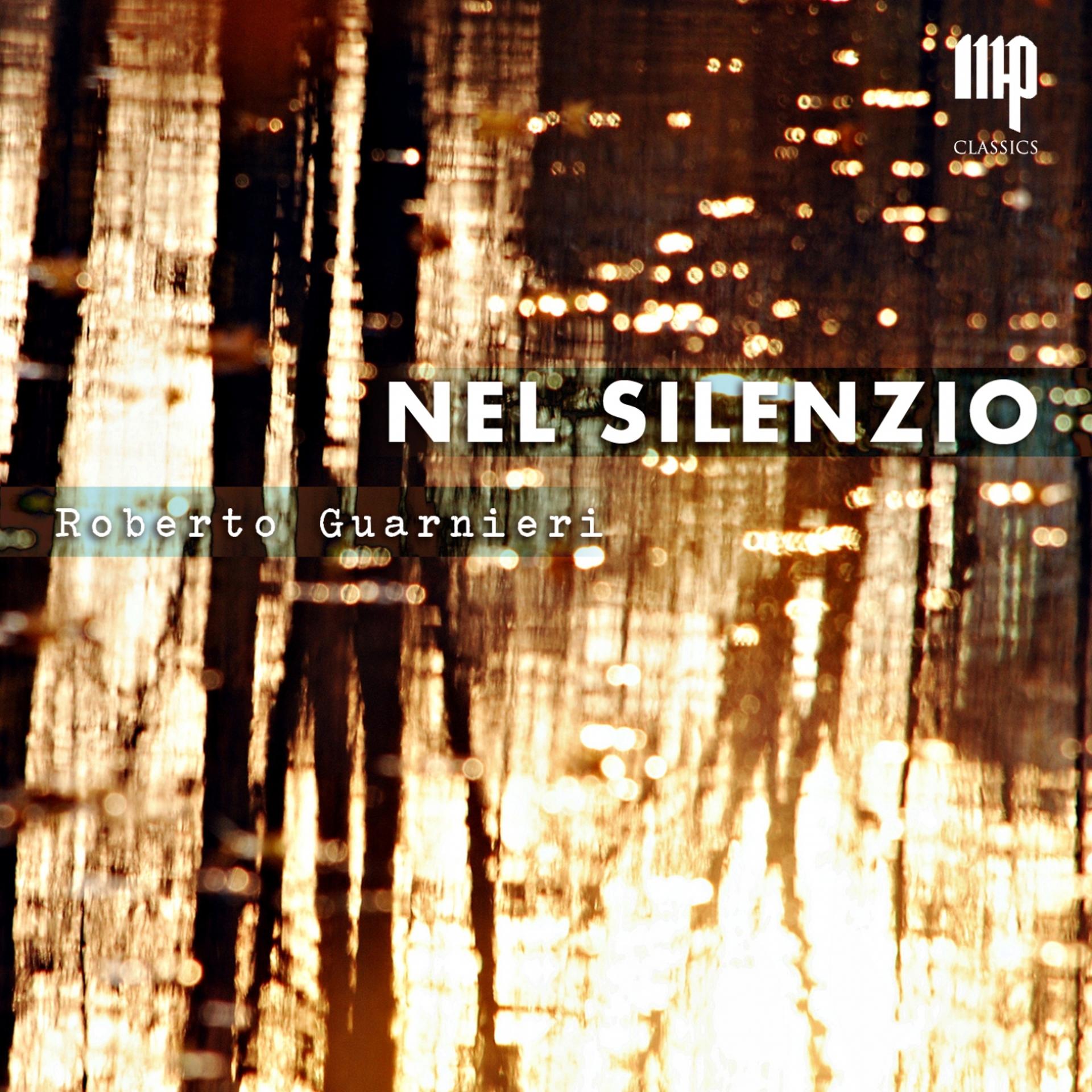 Постер альбома Nel silenzio