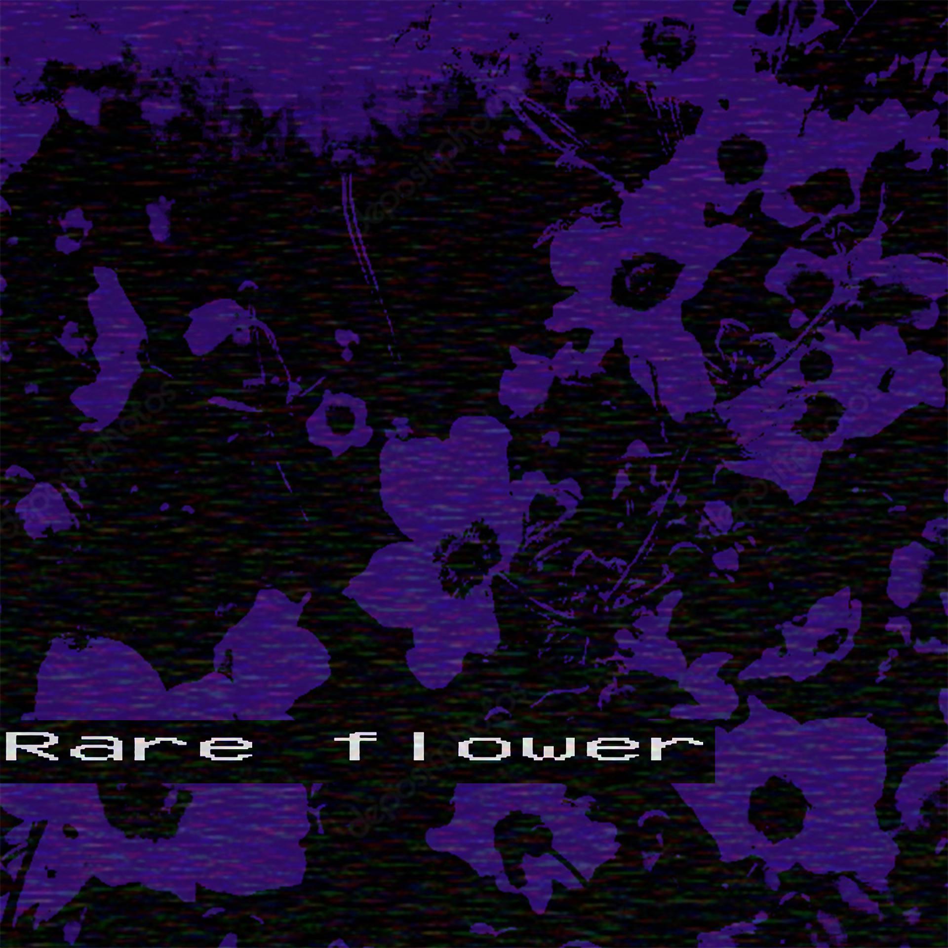 Постер альбома Rare Flower