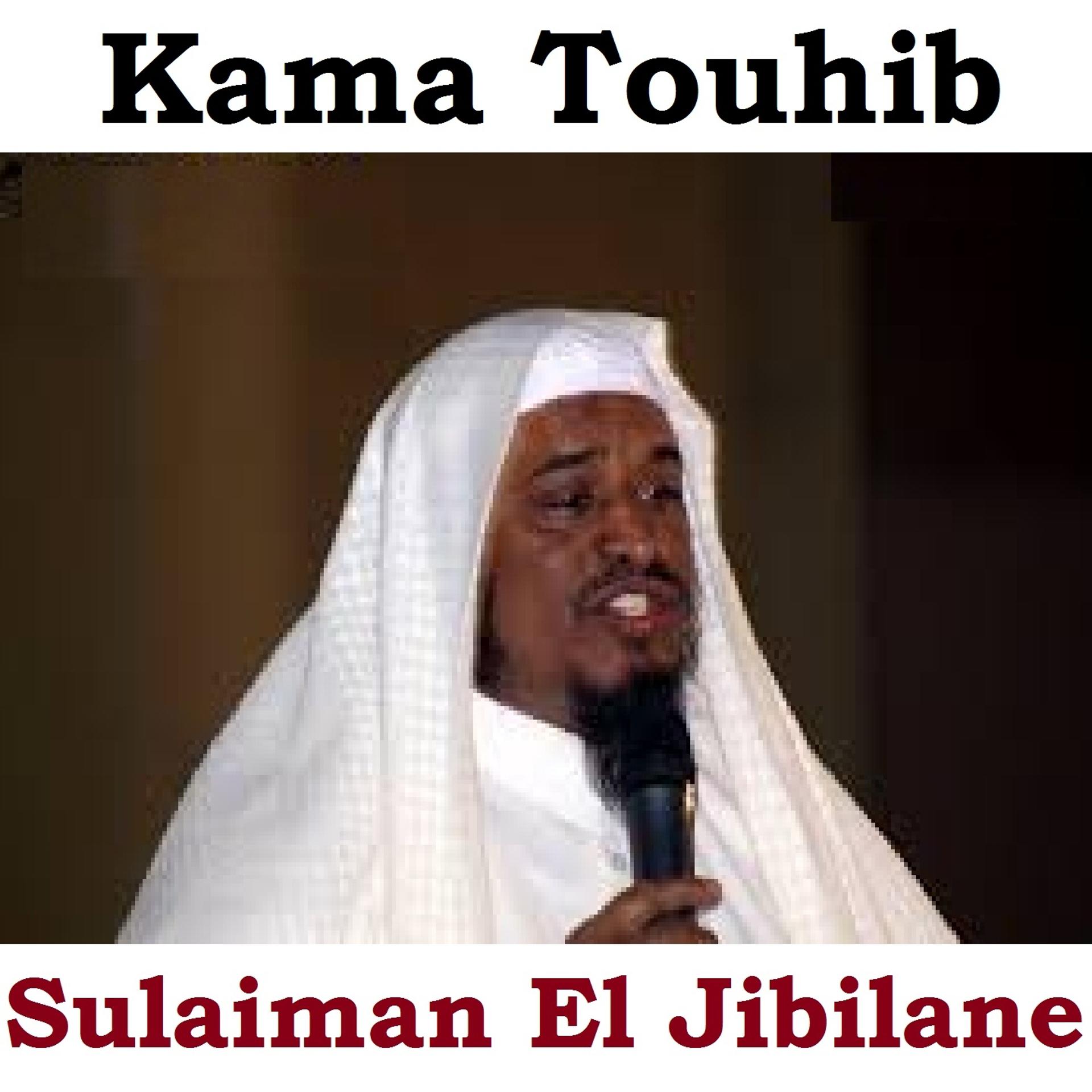 Постер альбома Kama Touhib