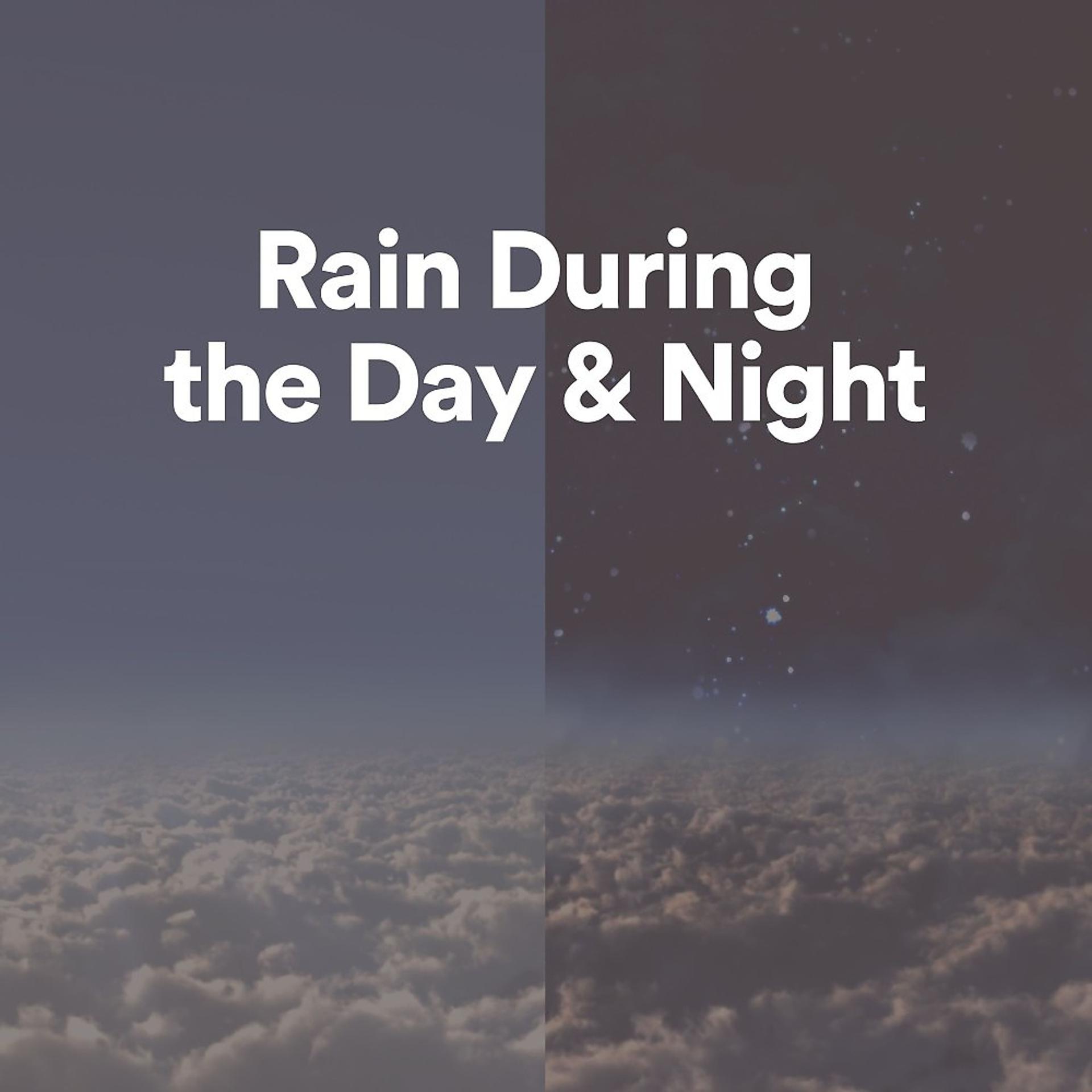 Постер альбома Rain During the Day & Night