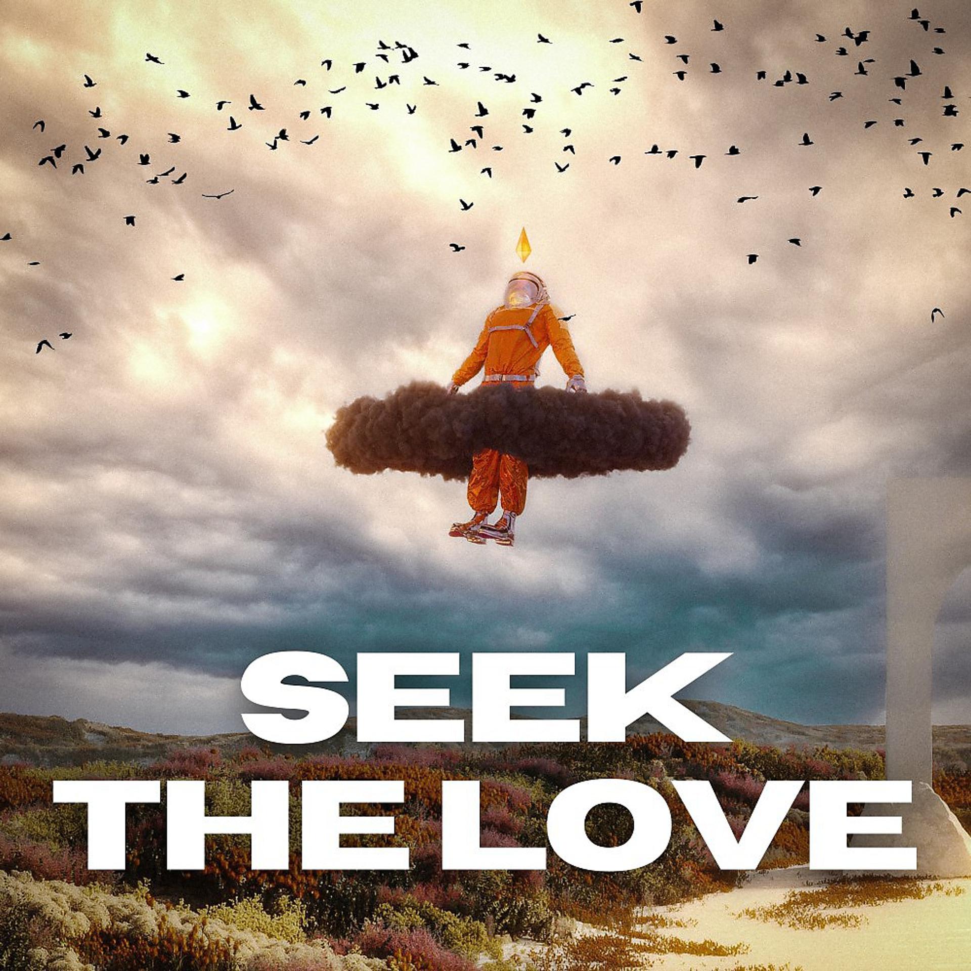 Постер альбома Seek the Love