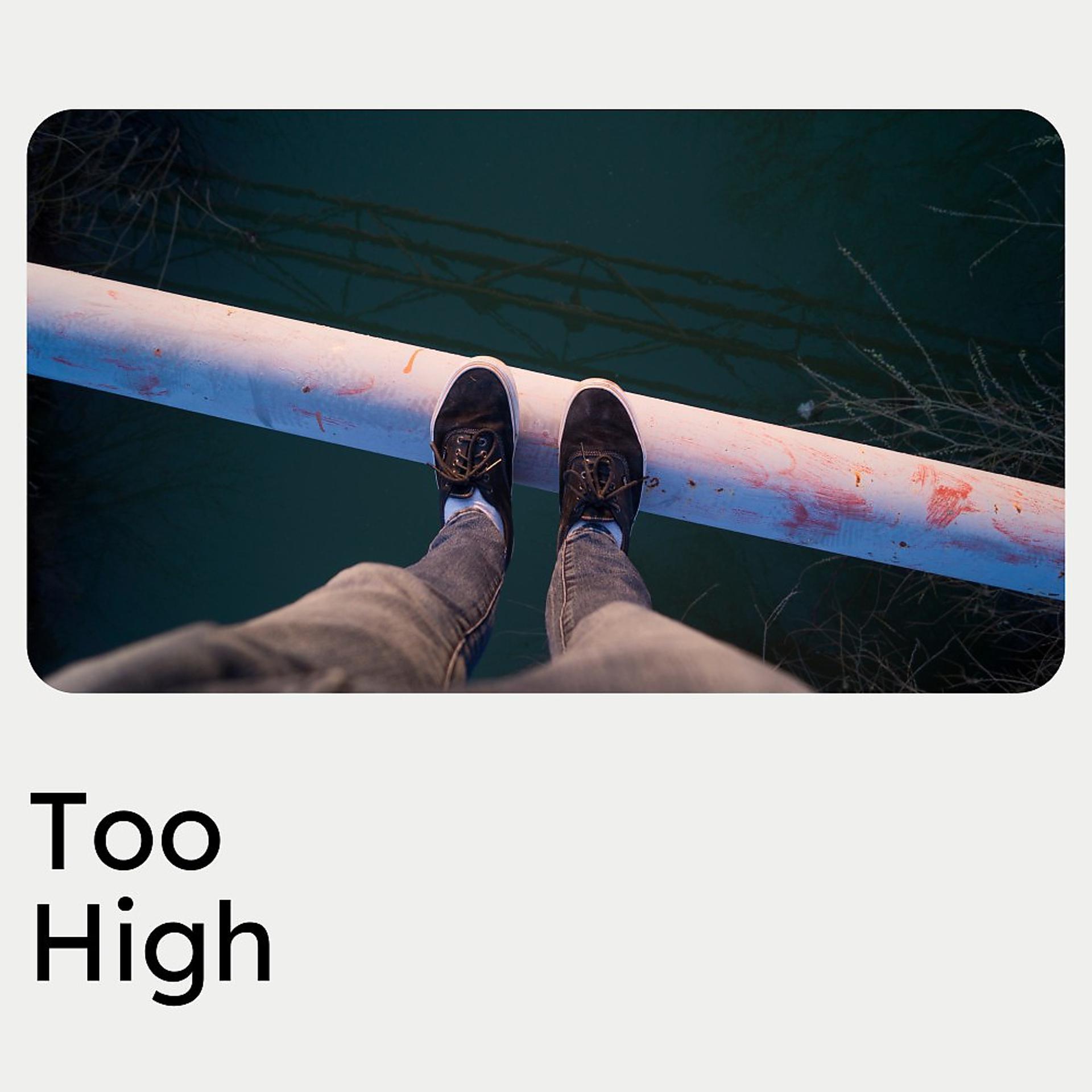 Постер альбома Too High