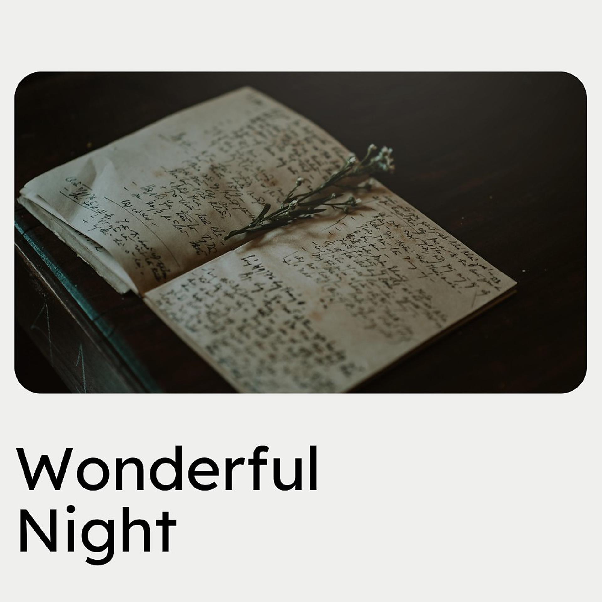 Постер альбома Wonderful Night
