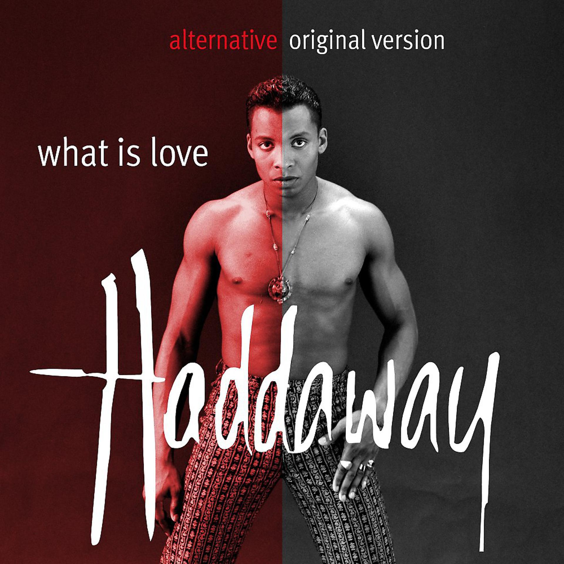 Постер альбома What Is Love (Alternative Original Version)