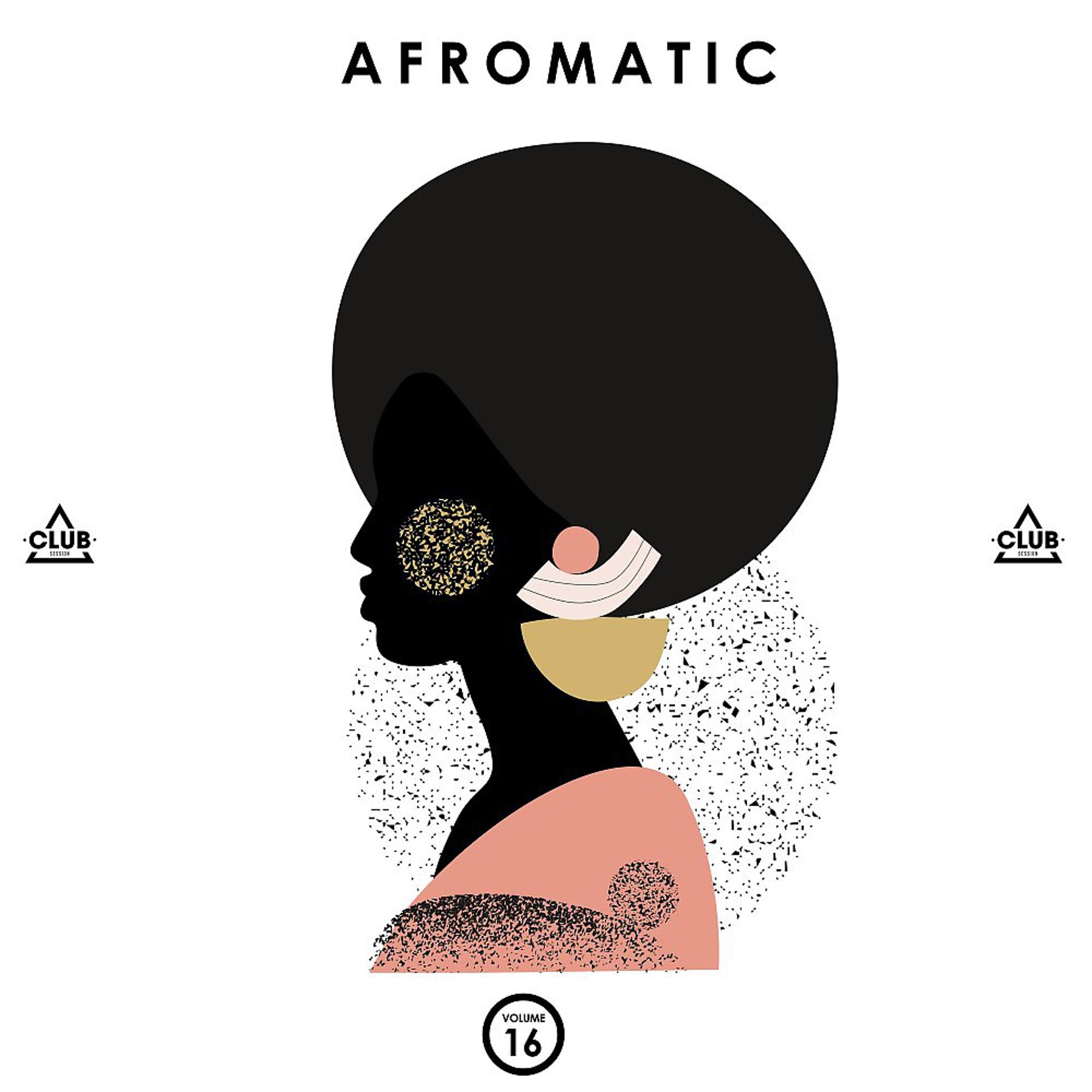 Постер альбома Afromatic, Vol. 16