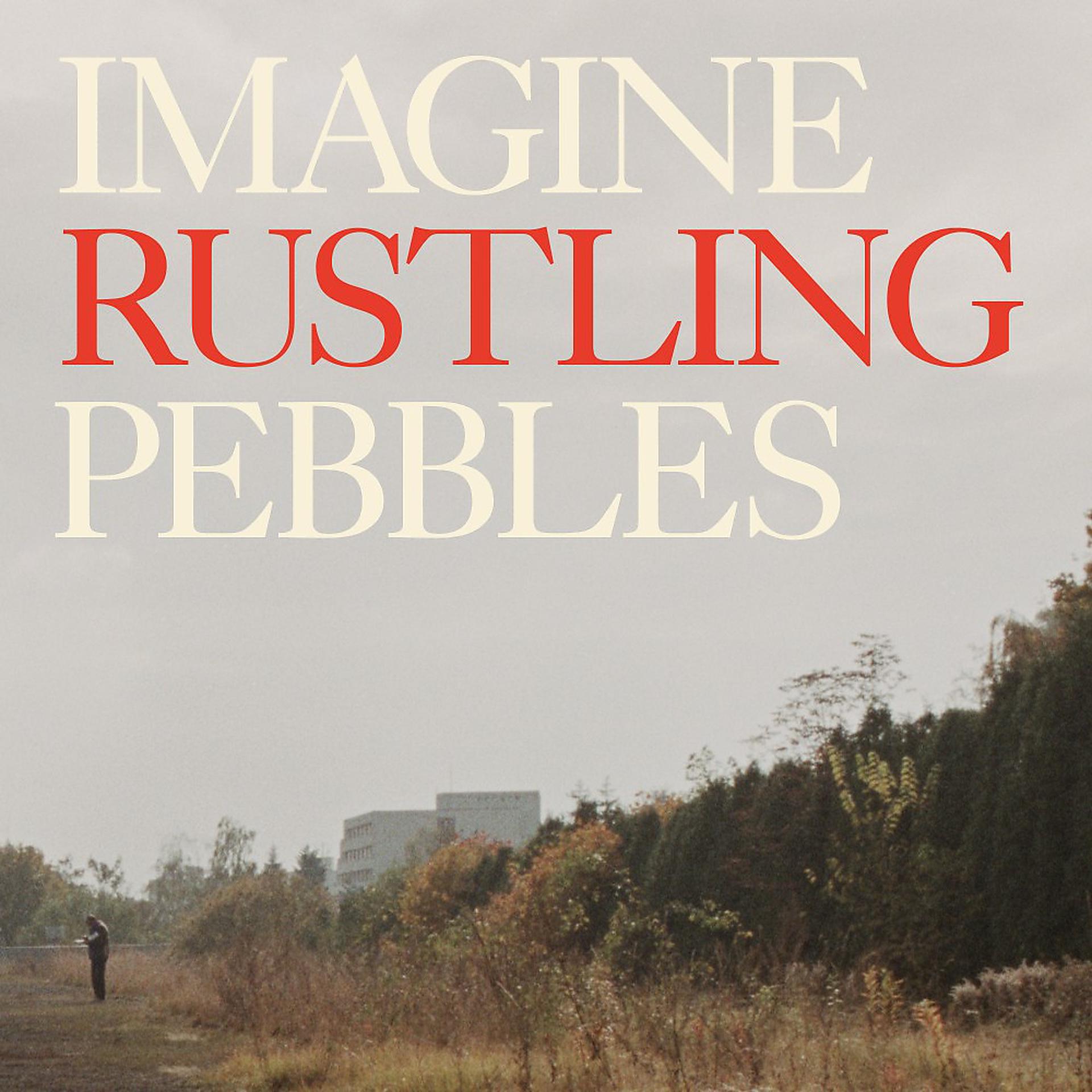 Постер альбома Imagine Rustling Pebbles