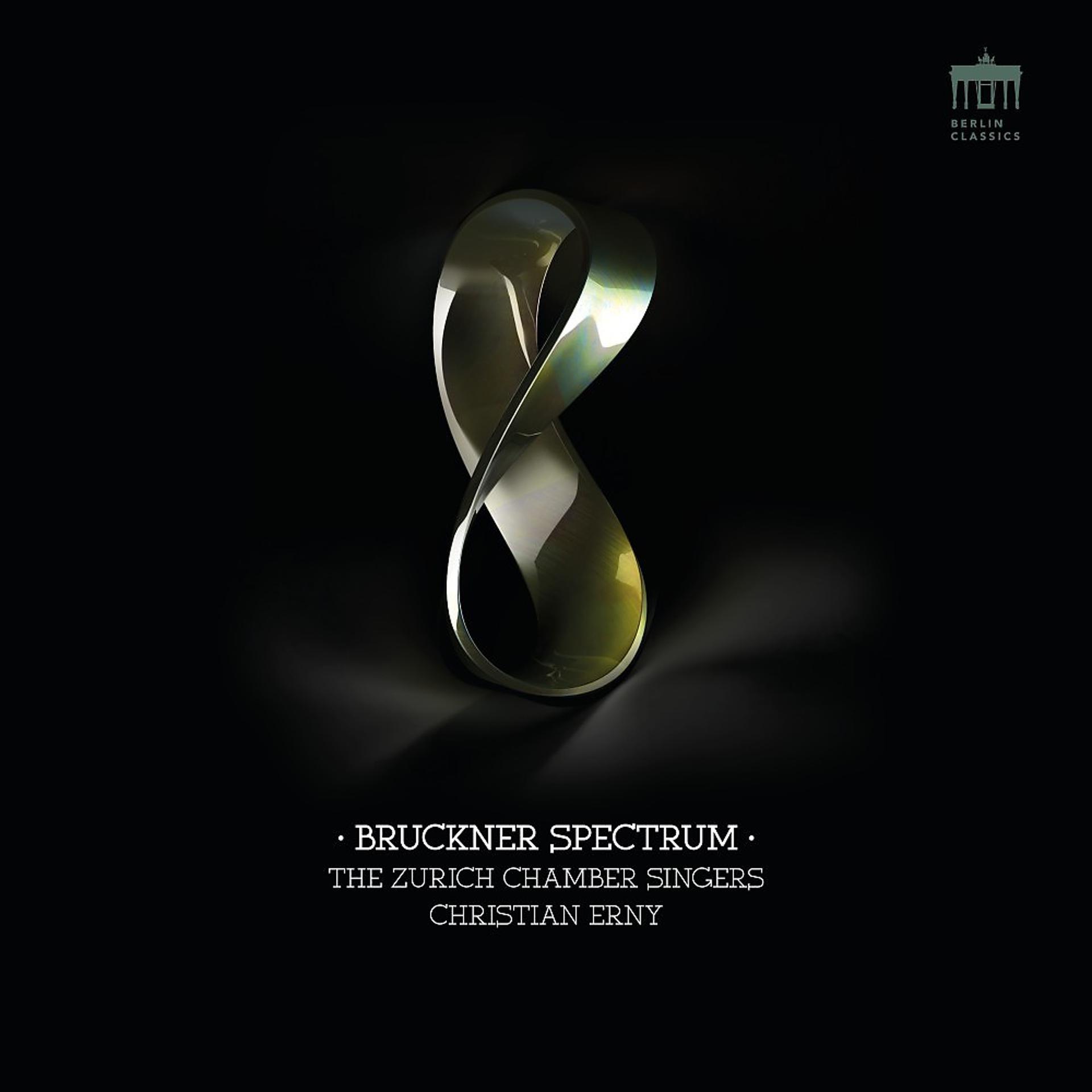 Постер альбома Bruckner Spectrum