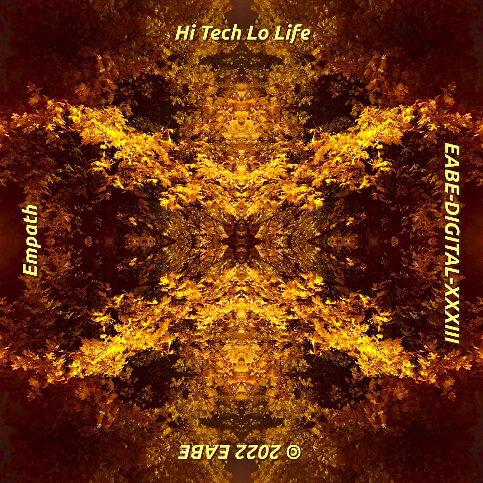 Постер альбома Hi Tech Lo Life